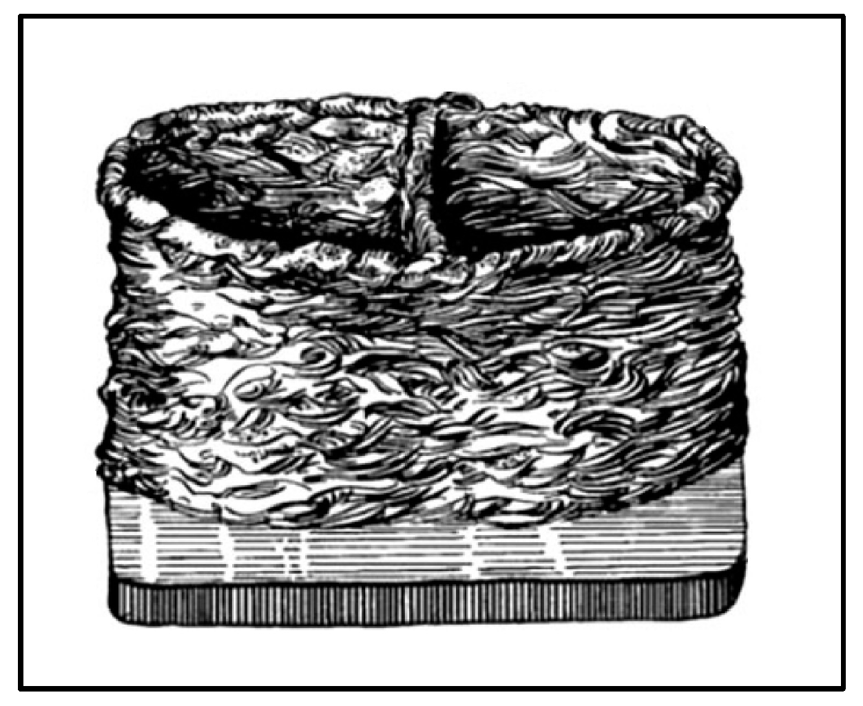 Materials 16 06419 g002