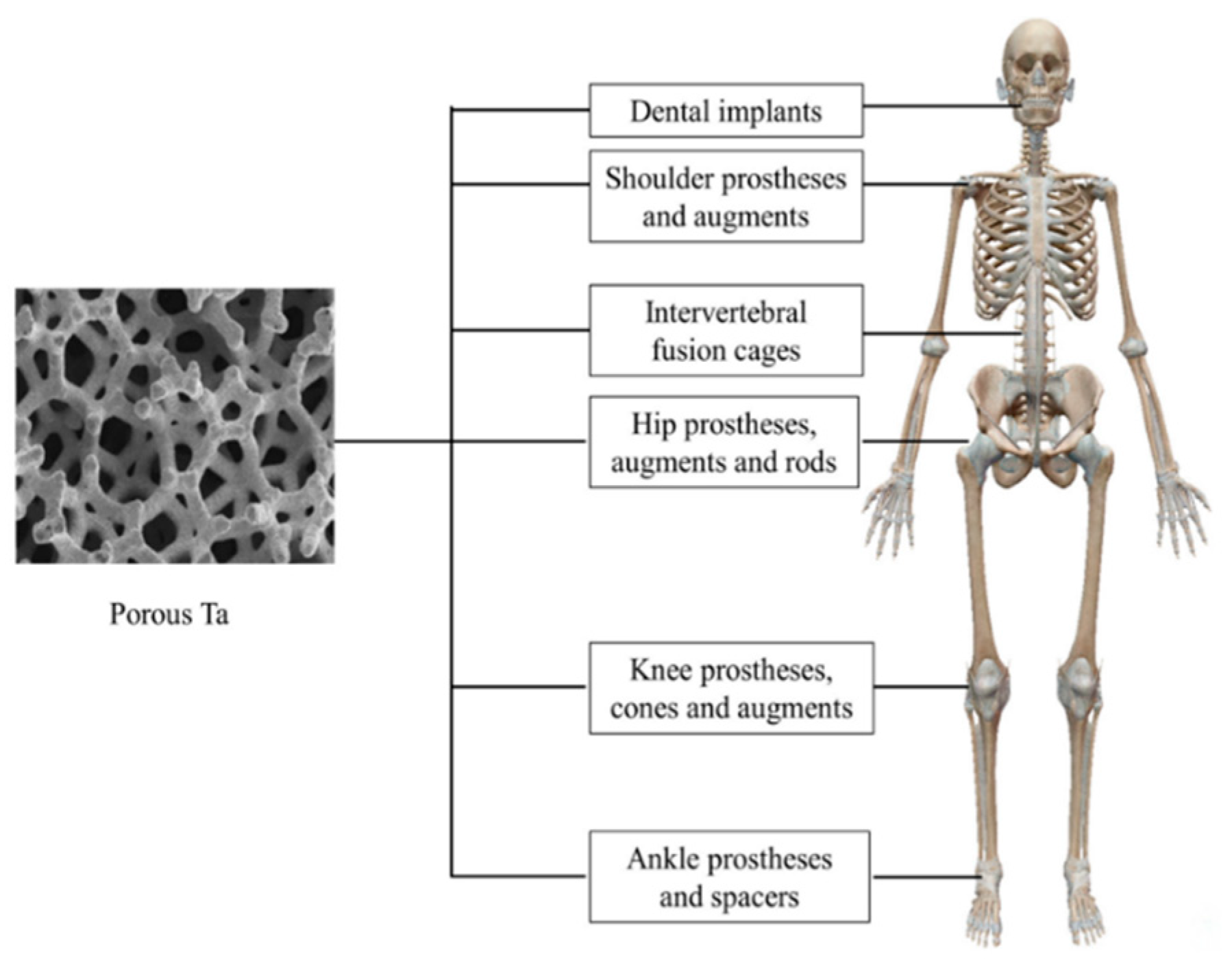 Materials 16 06419 g025