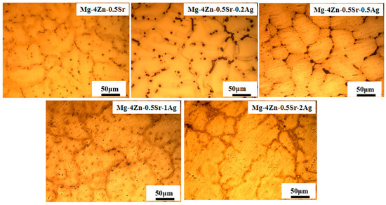 The Synergistic Effect of Trace Ag and Hot Extruding on the