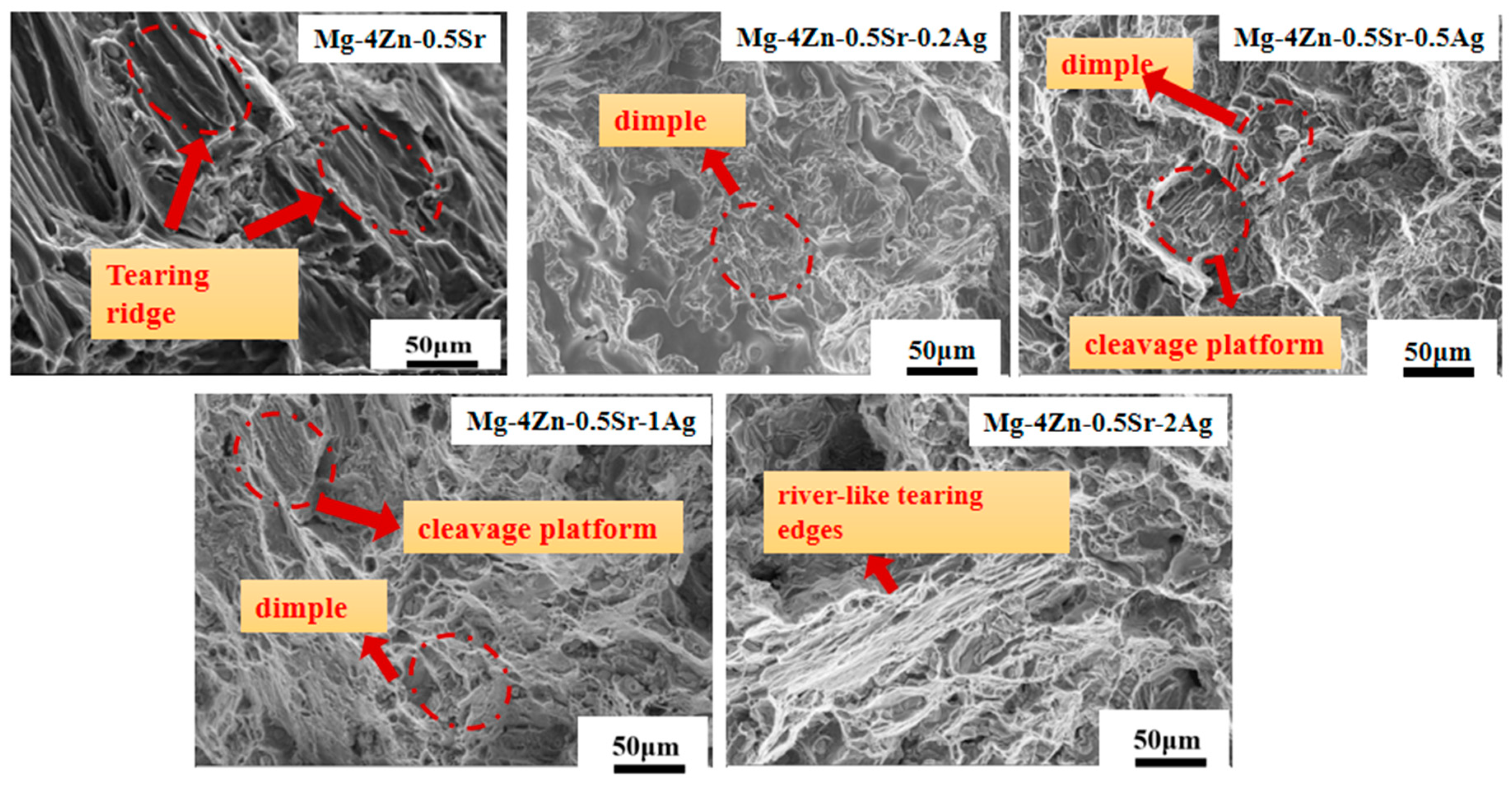 Materials 16 06423 g005