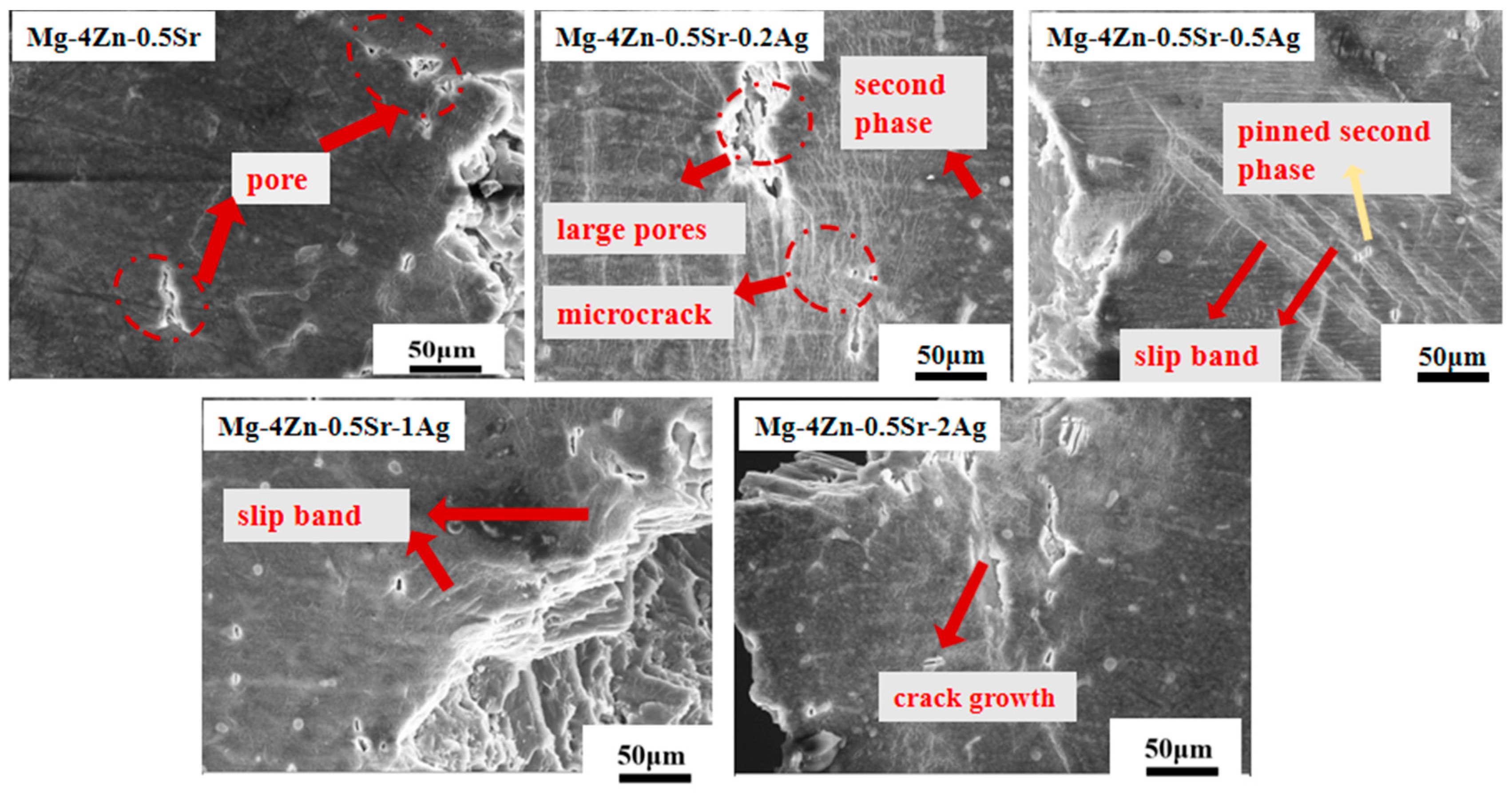 Materials 16 06423 g006