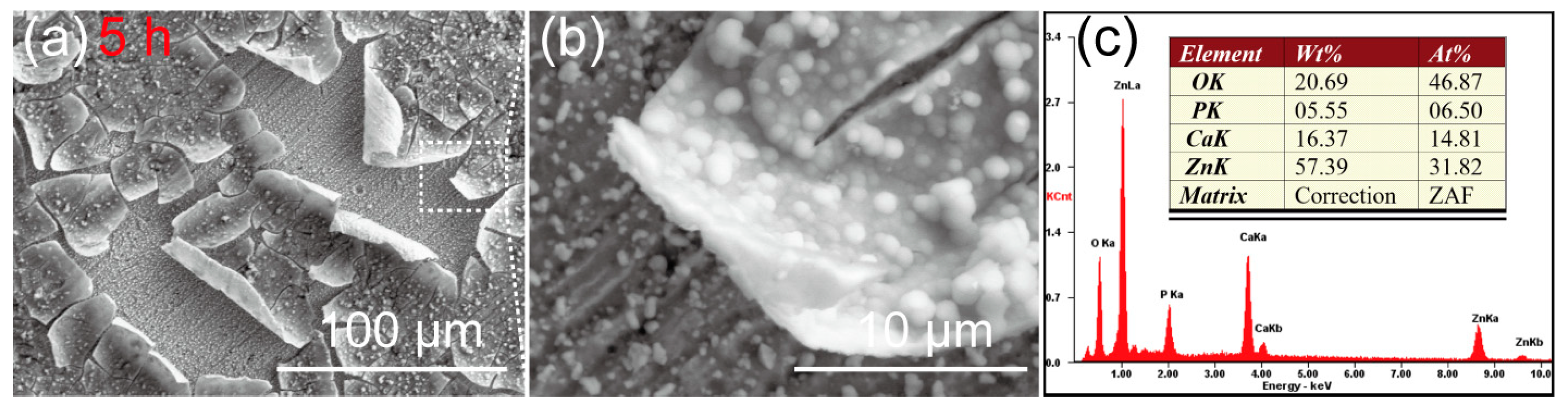 Materials 16 06432 g009