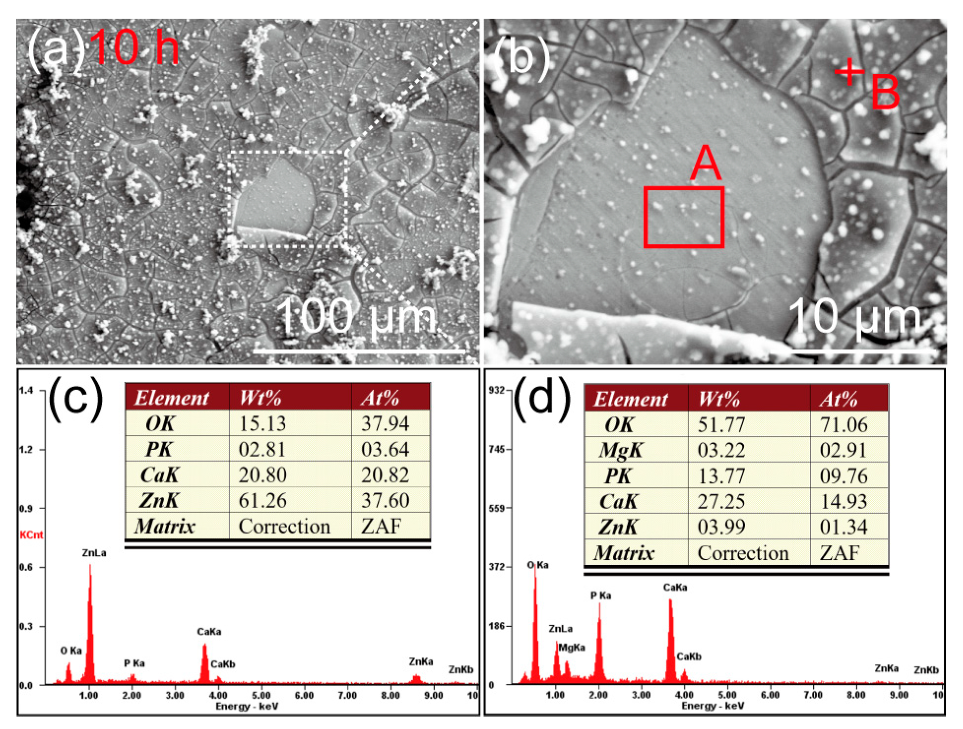 Materials 16 06432 g010
