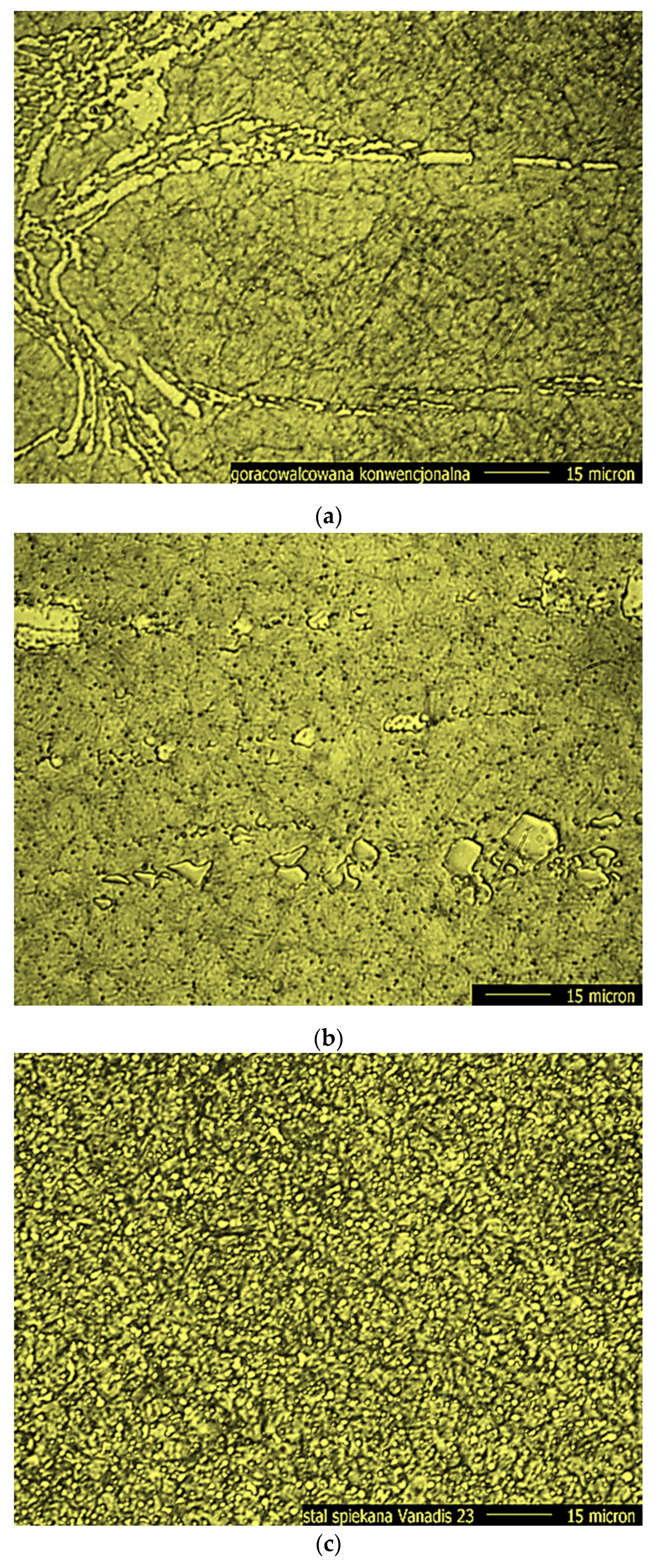 Materials 16 06442 g008