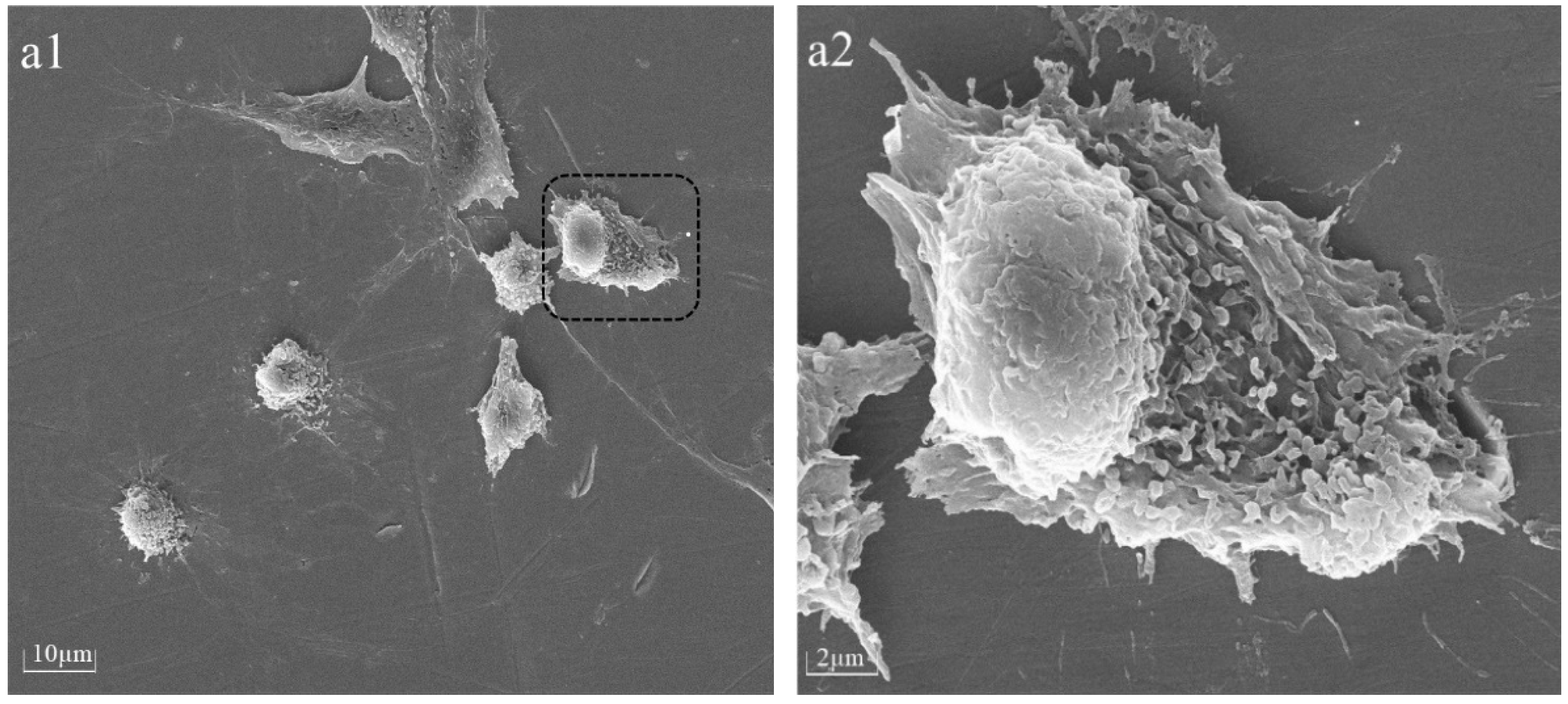 Materials 16 06450 g005a