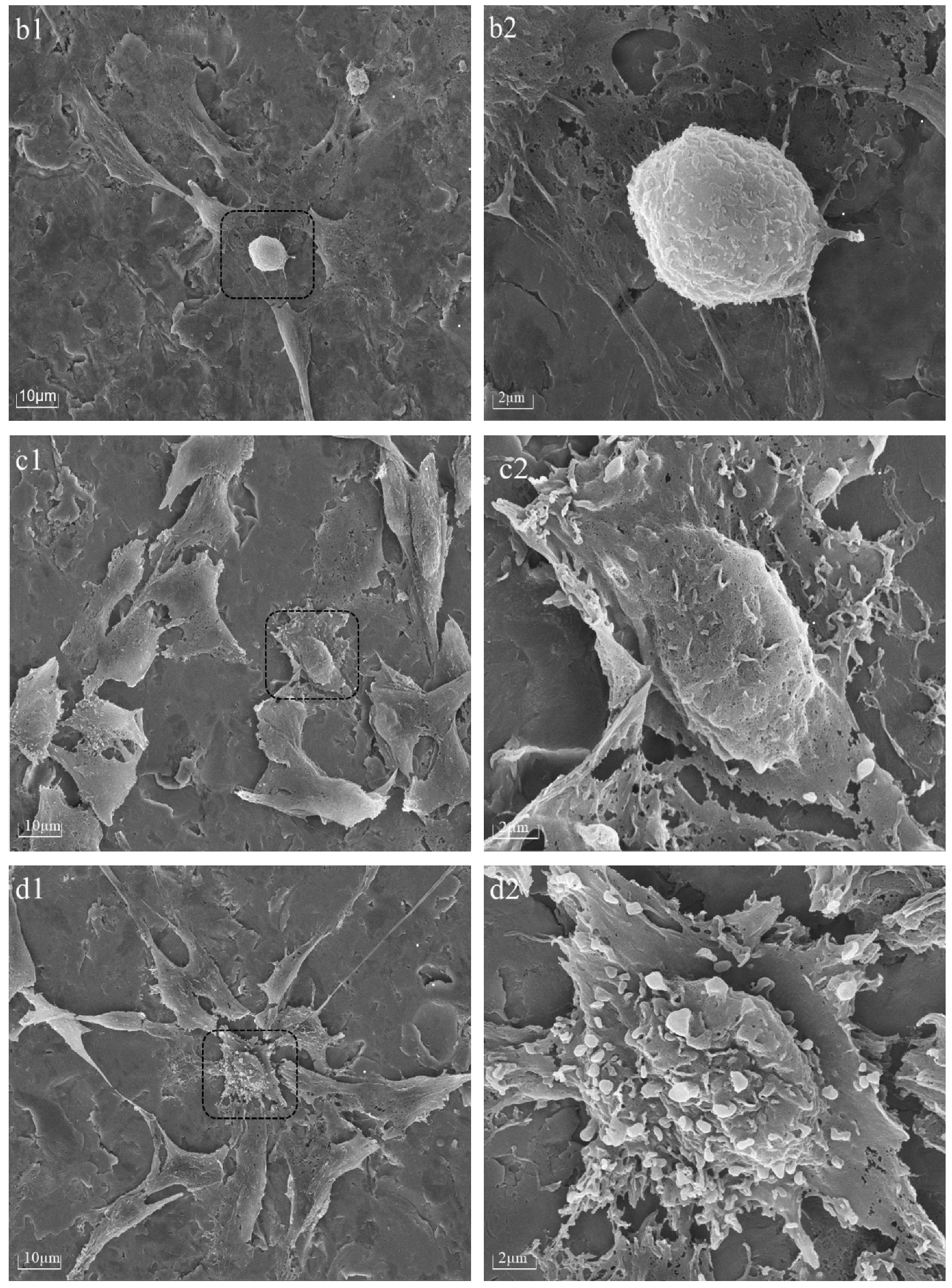 Materials 16 06450 g005b