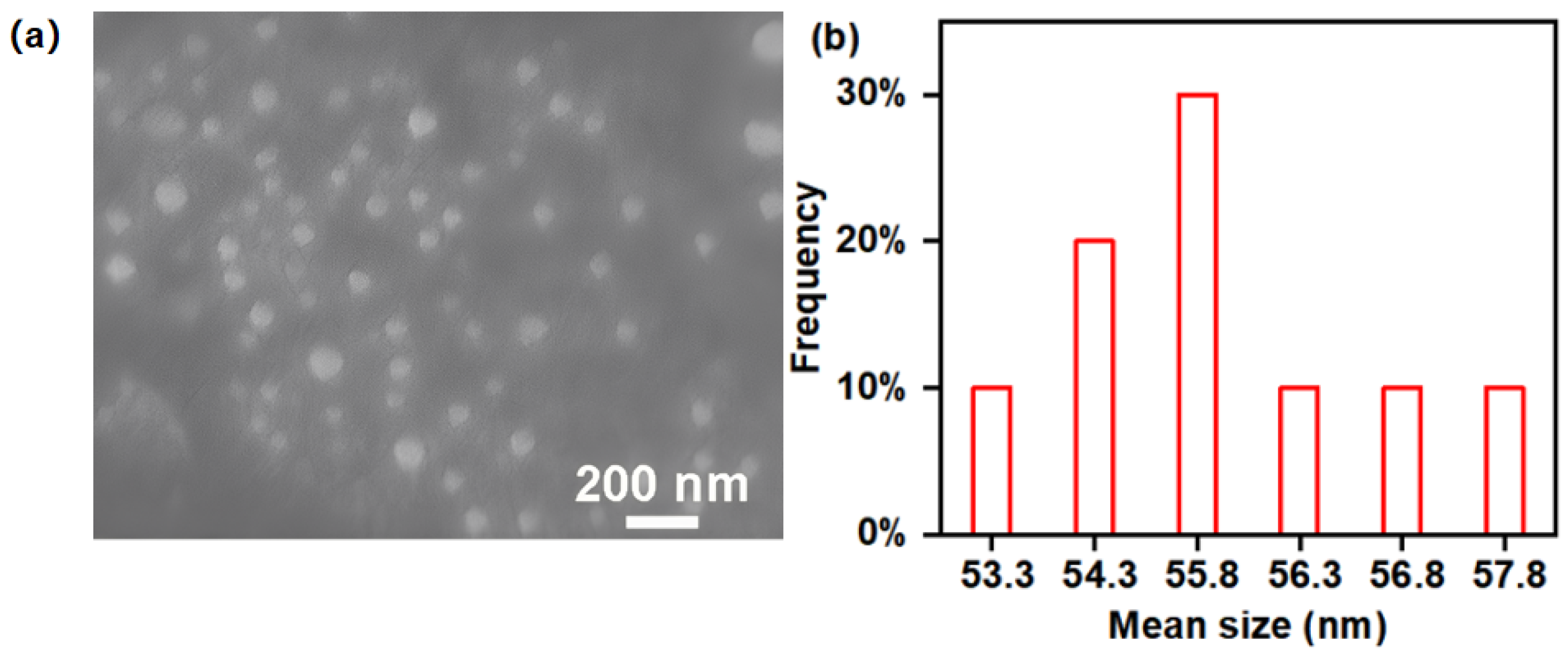 Materials 16 06458 g002