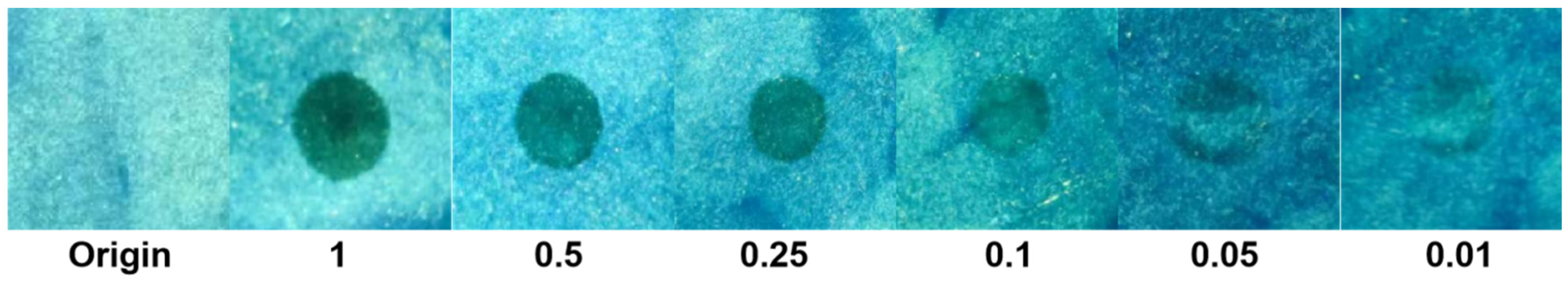 Materials 16 06458 g007