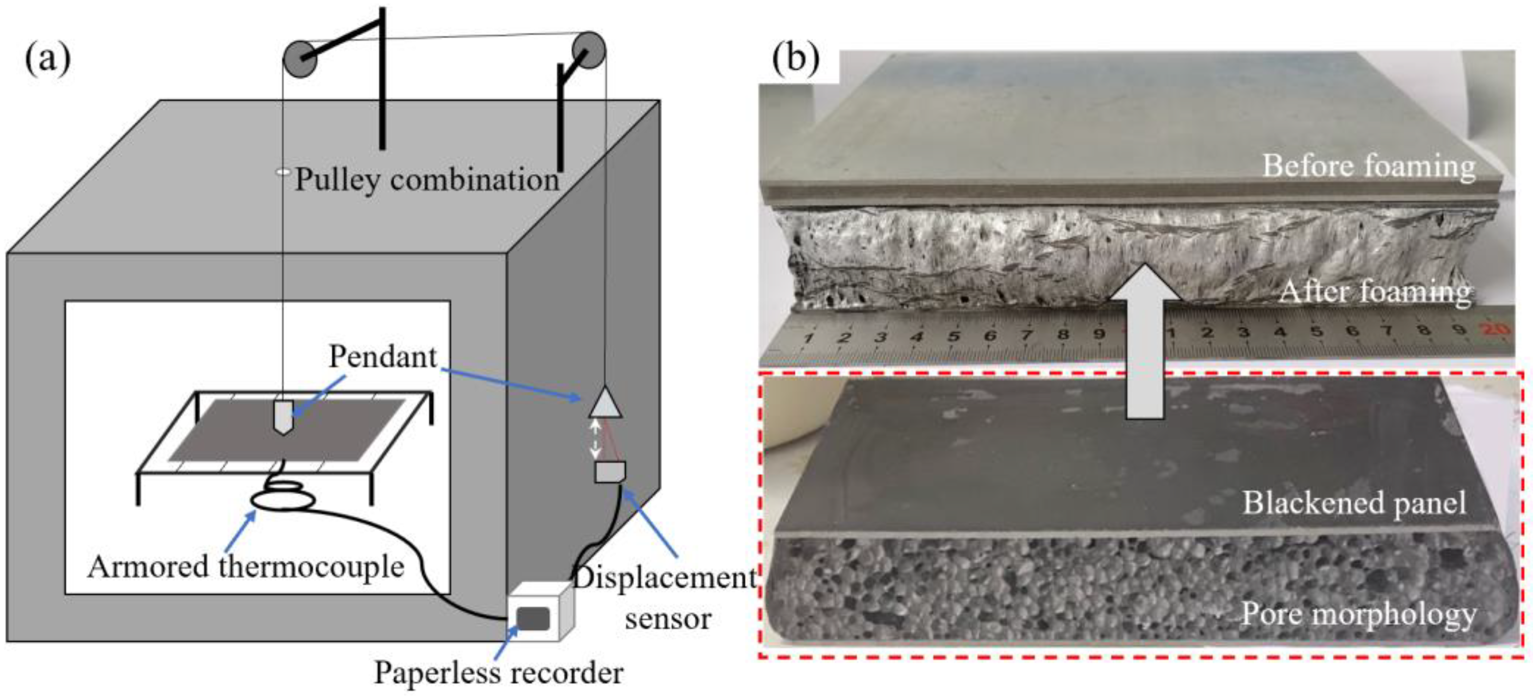 Materials 16 06479 g005