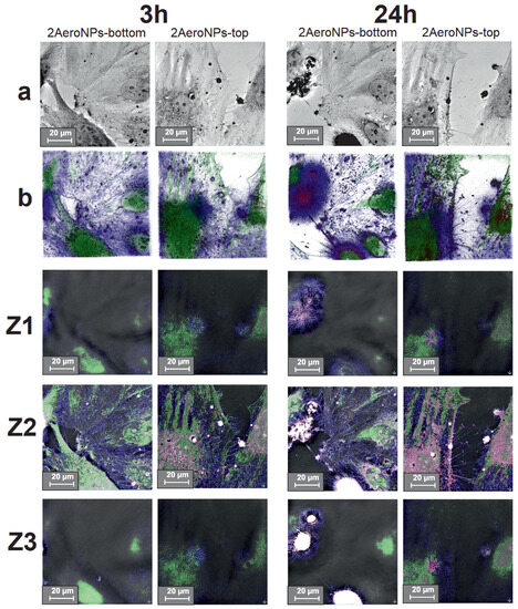Fe3O4 Magnetic Nanoparticles Obtained by the Novel Aerosol-Based ...