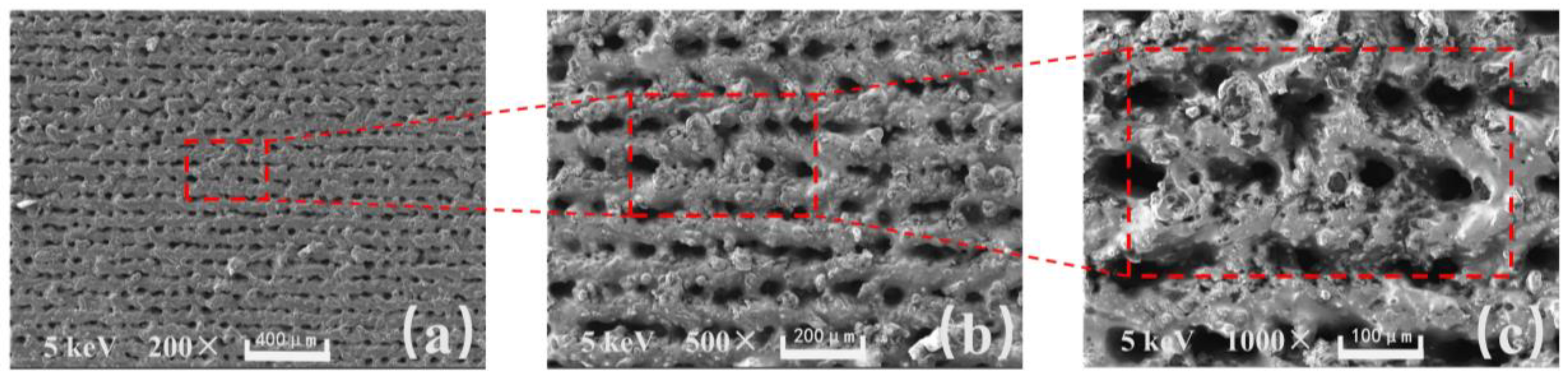 Materials 16 06485 g002