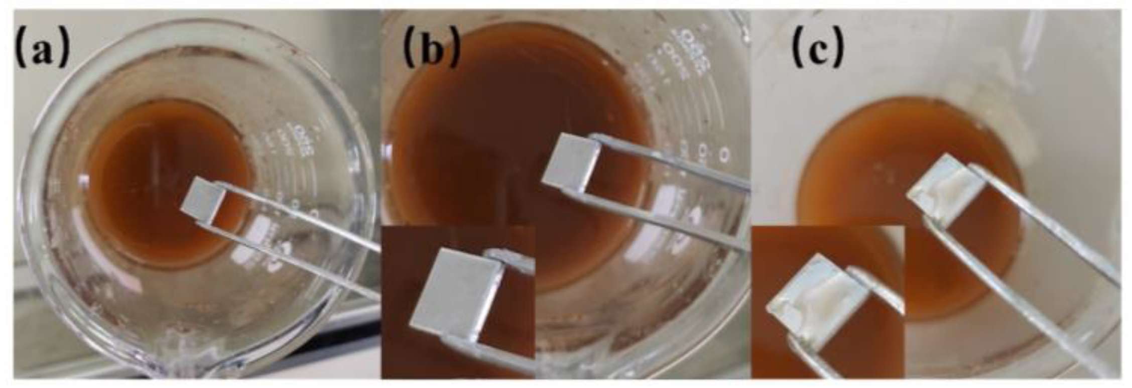 Materials 16 06485 g005