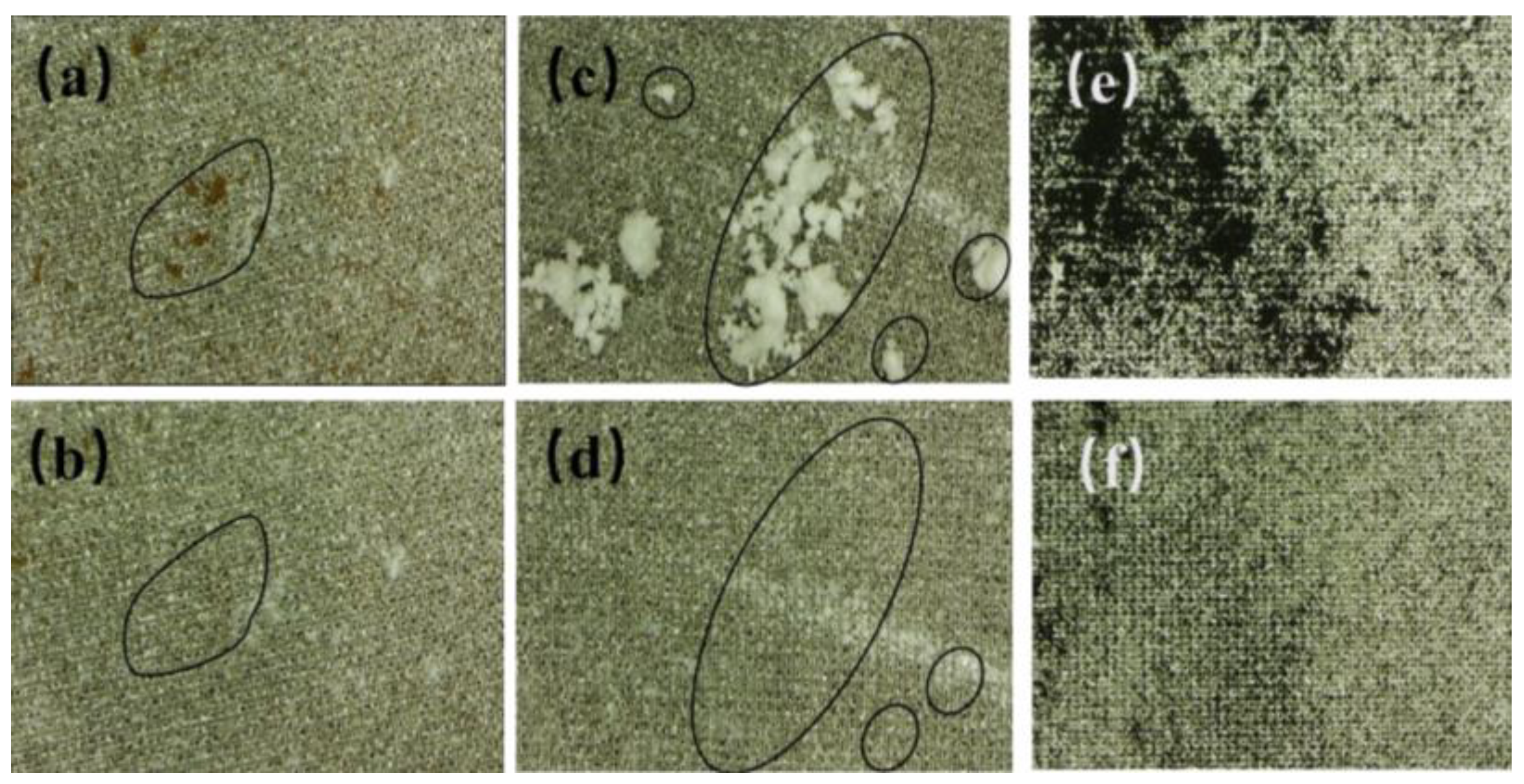 Materials 16 06485 g006