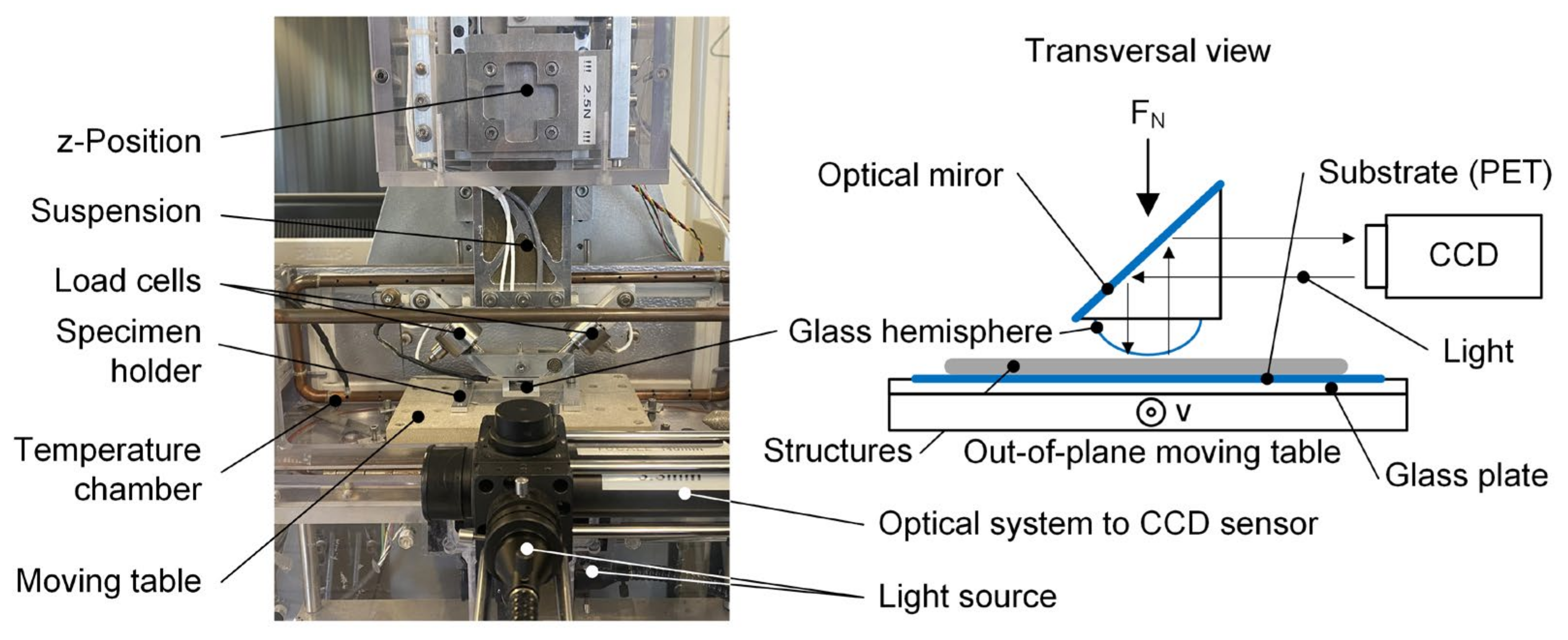 Materials 16 06489 g005