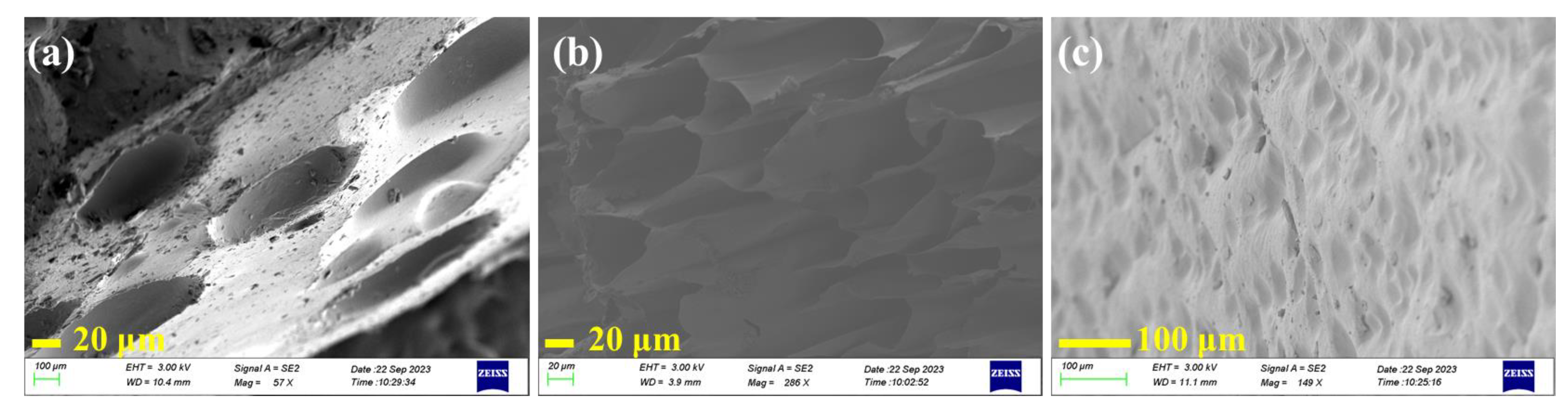 Materials 16 06491 g003