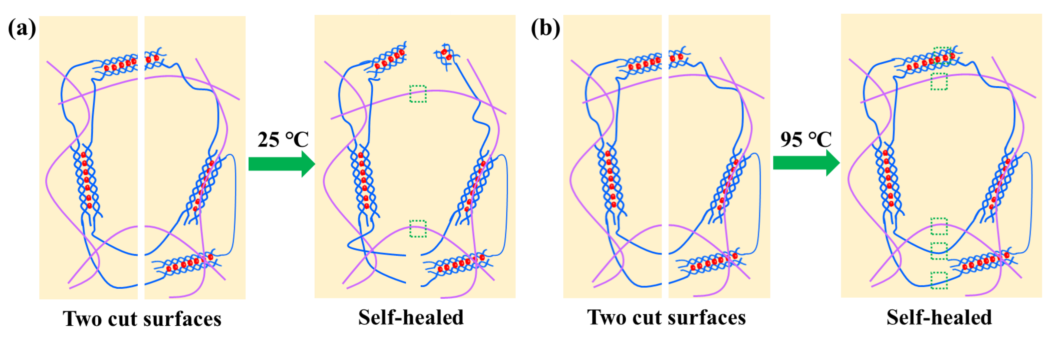 Materials 16 06491 g008