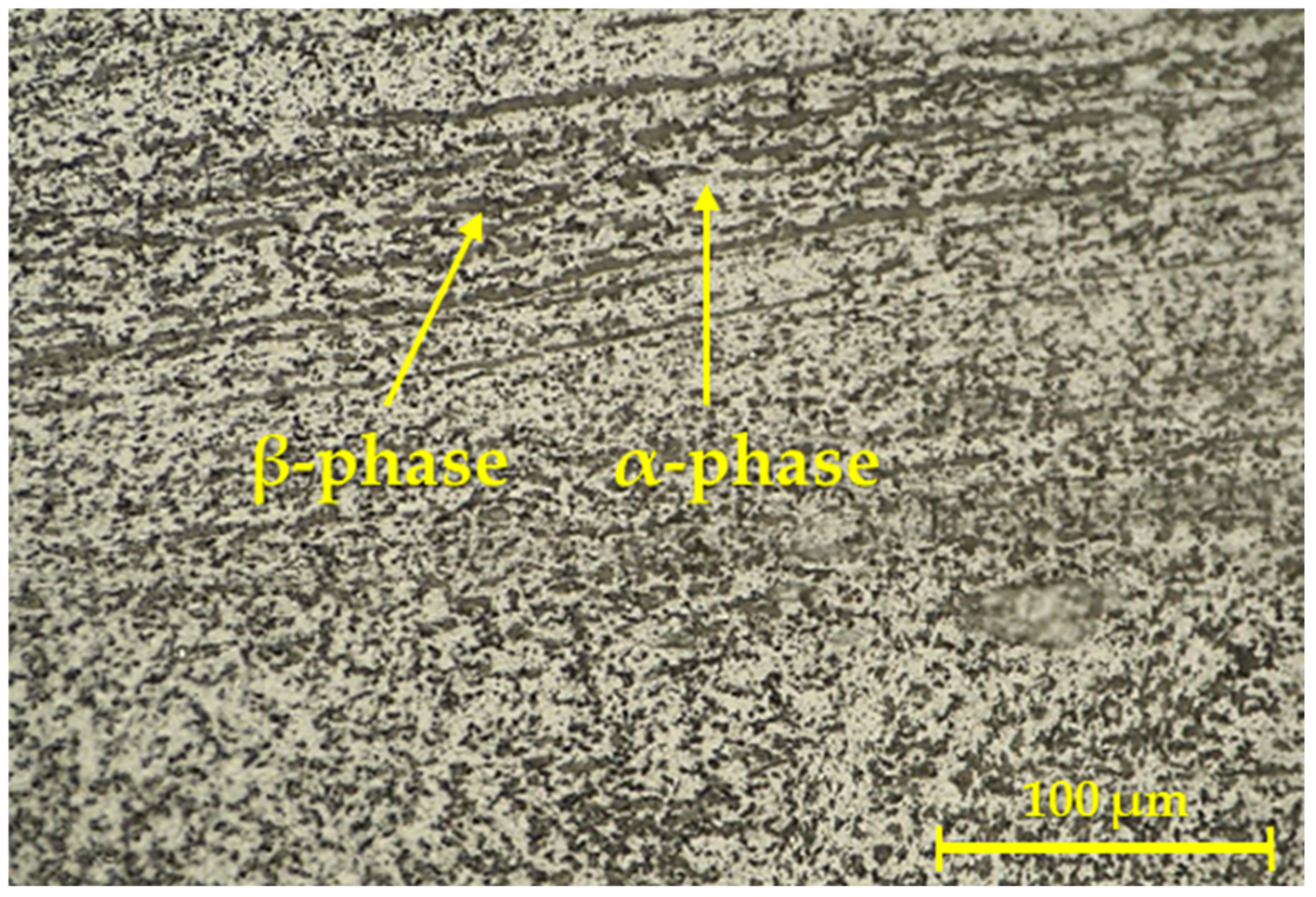 Materials 16 06492 g004