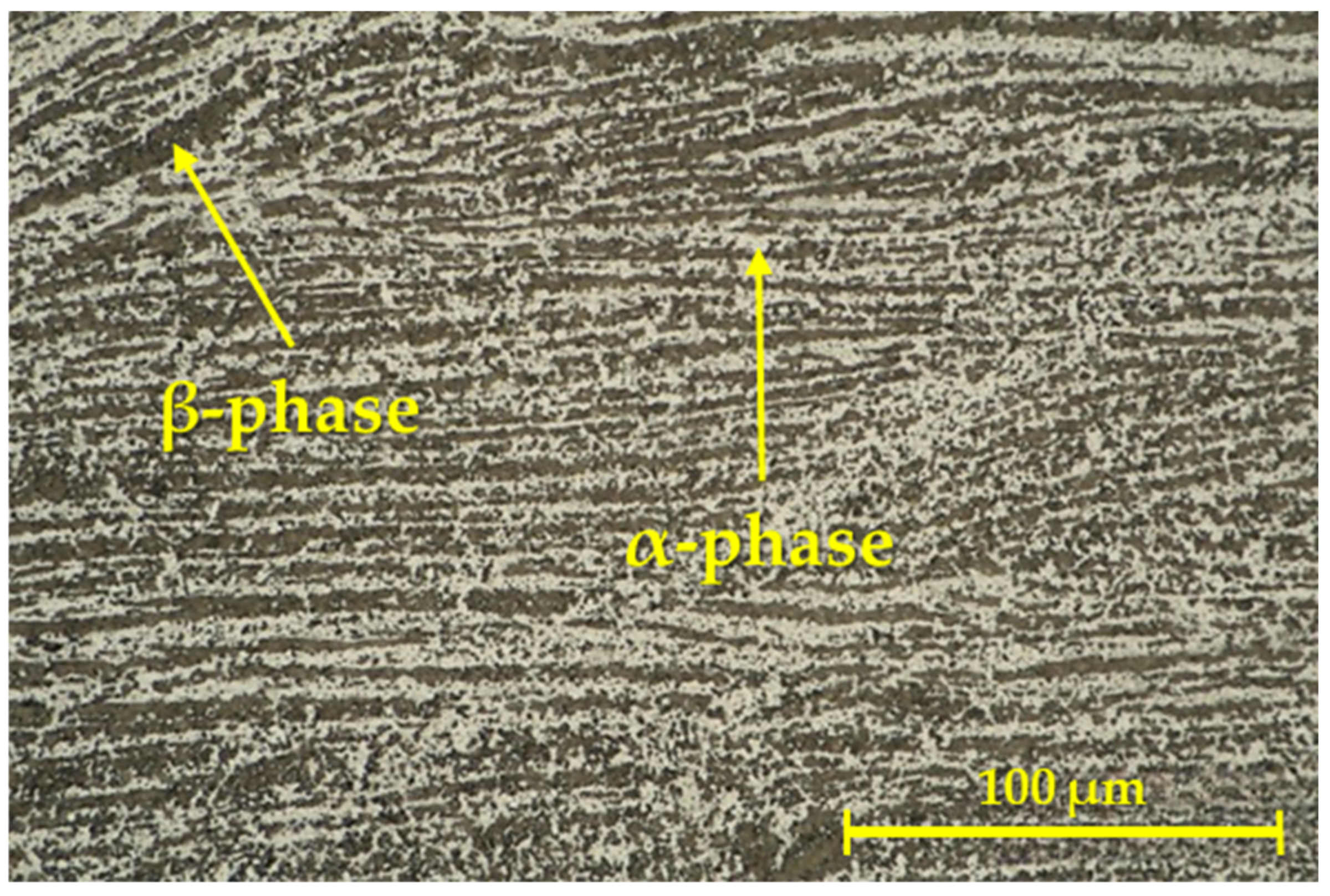 Materials 16 06492 g008