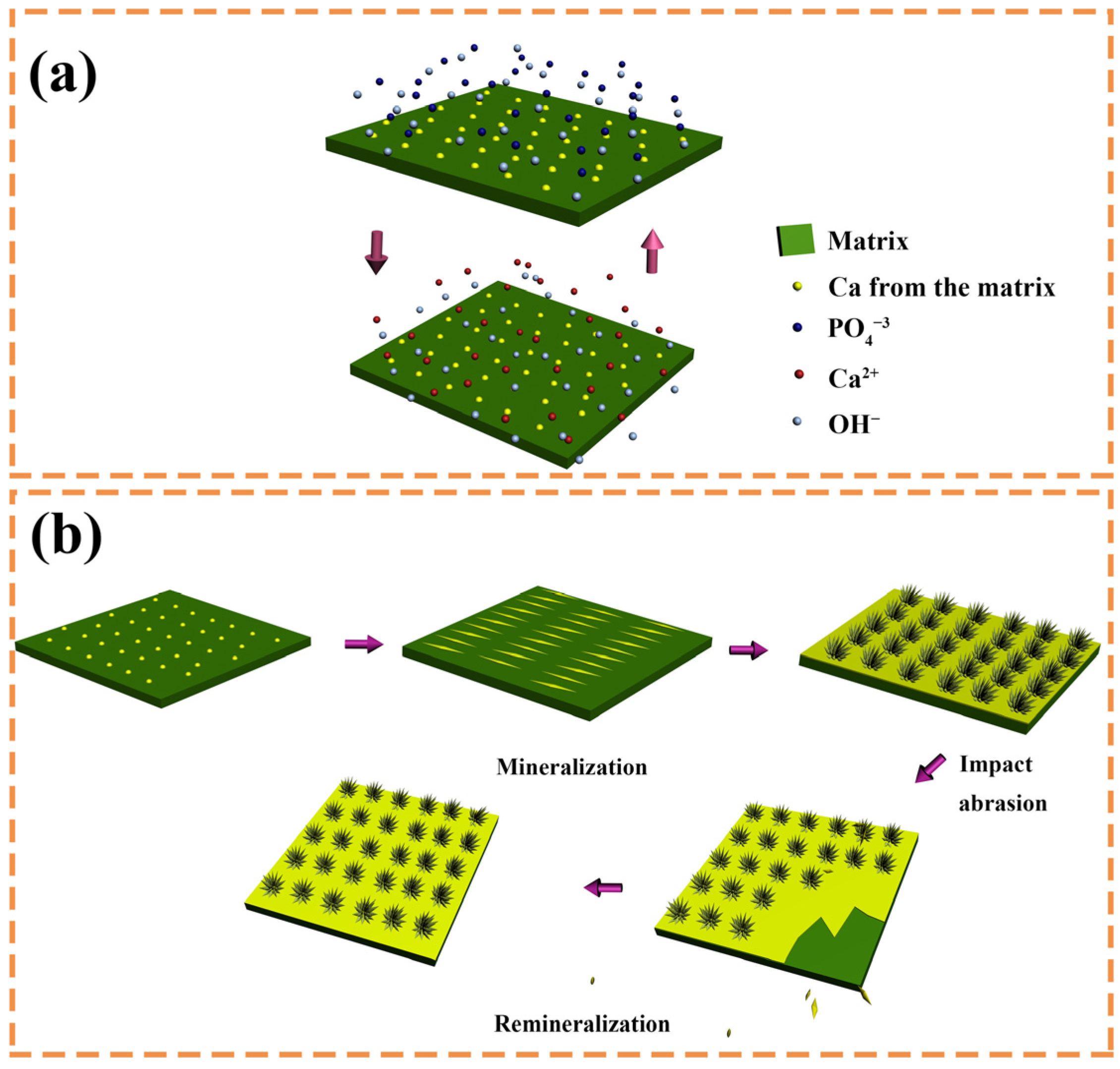 Materials 16 06497 g010