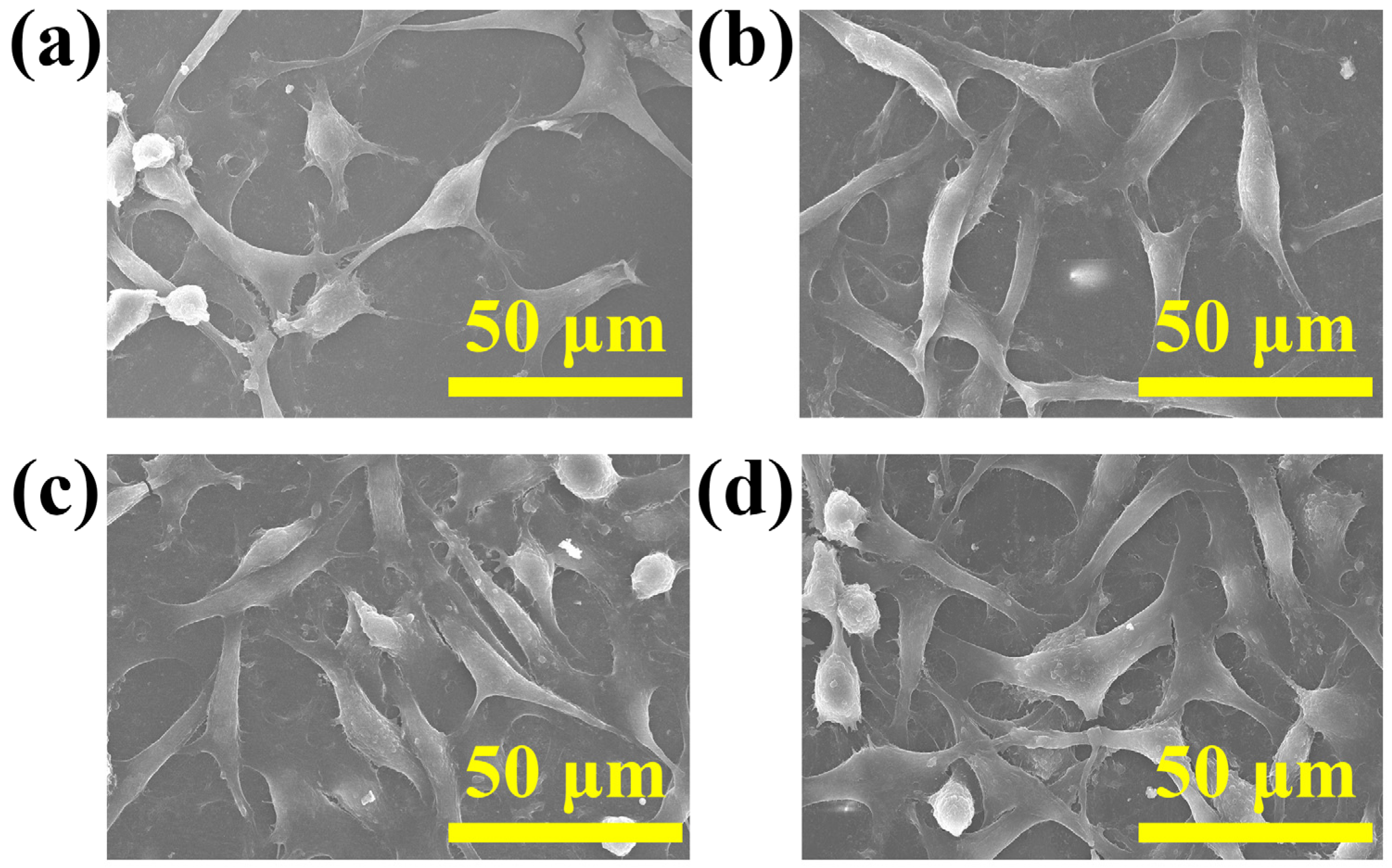 Materials 16 06497 g012