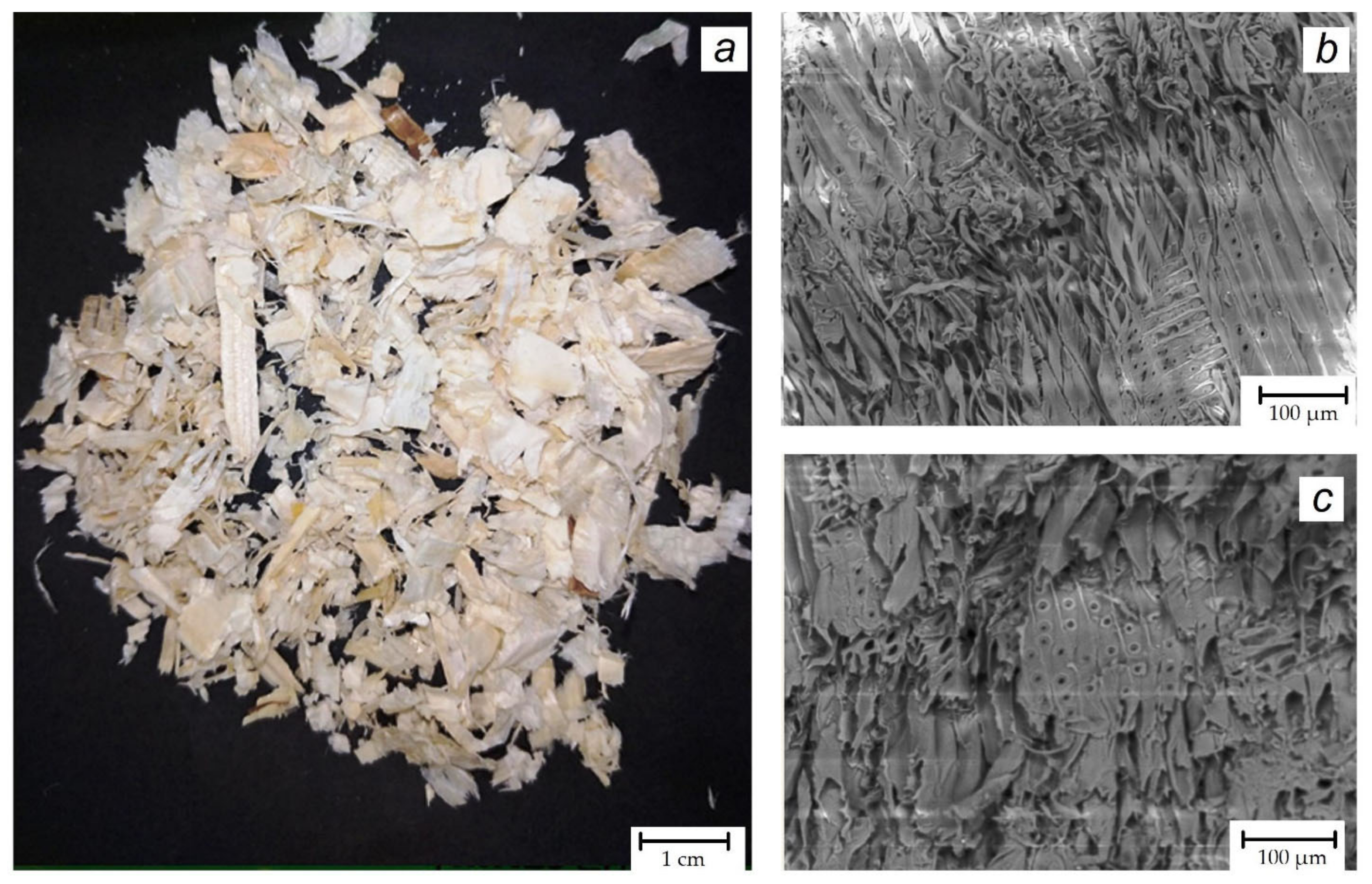 Materials 16 06516 g001