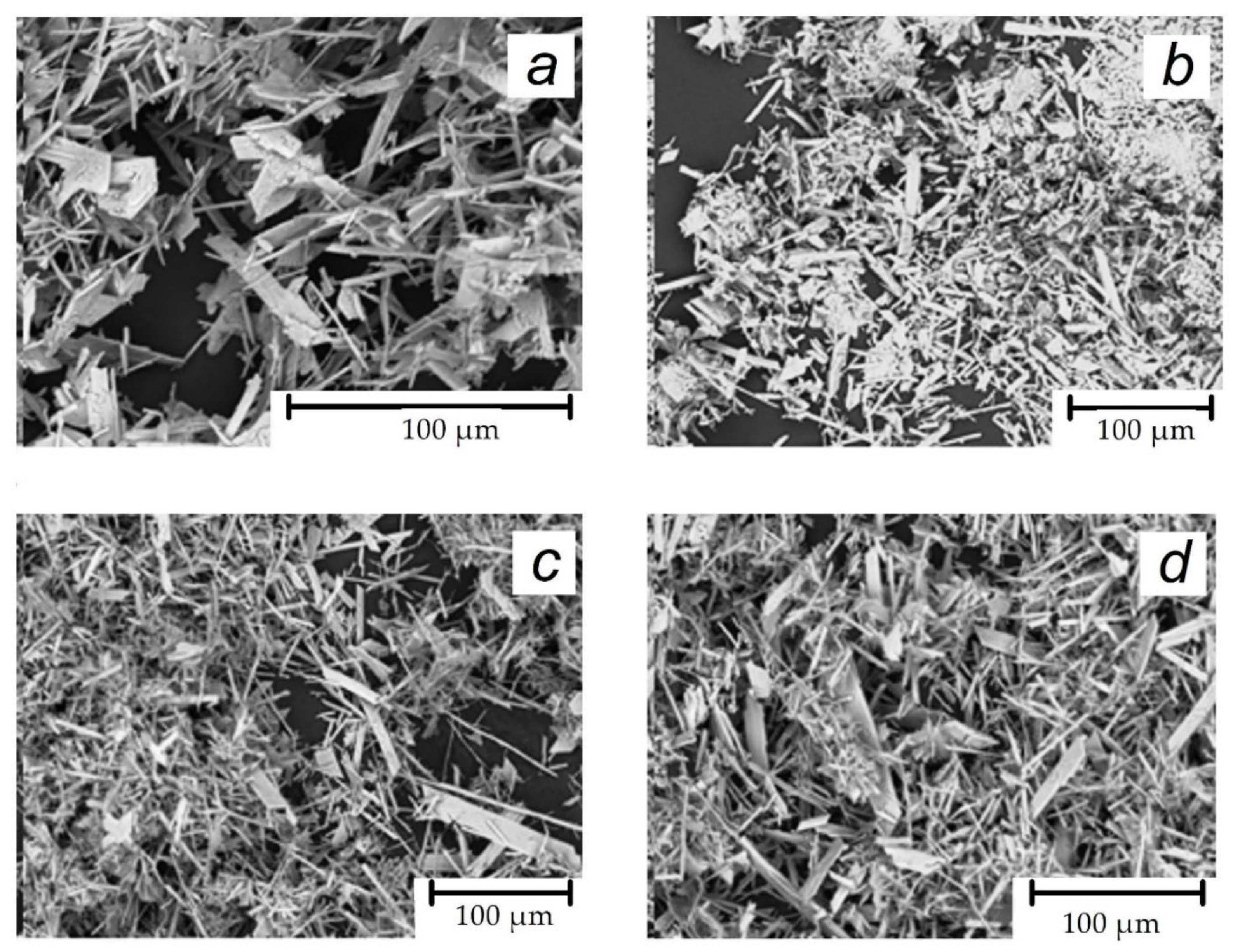 Materials 16 06516 g004