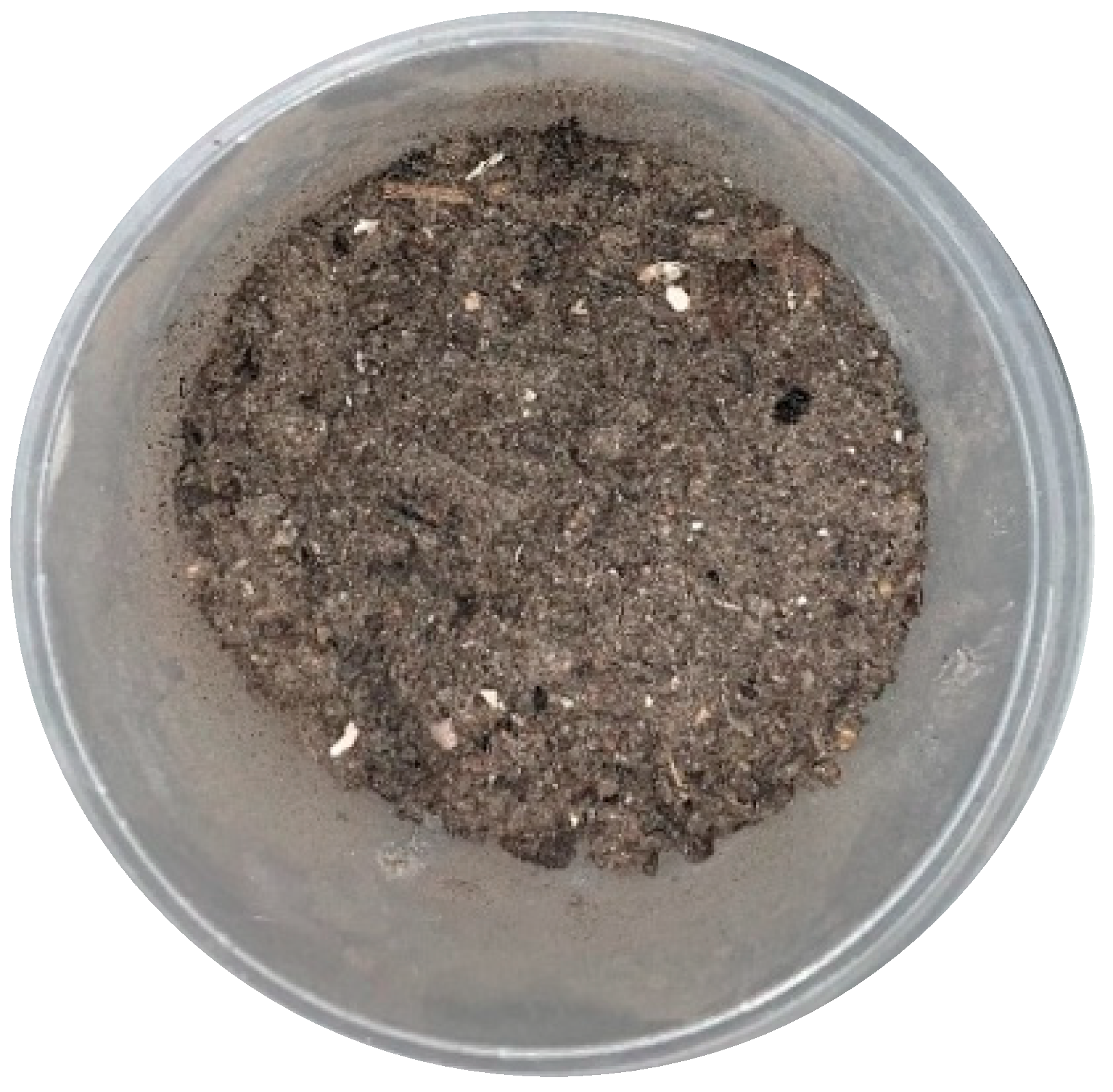 Materials 16 06519 g001 Materials 16 06519 g001