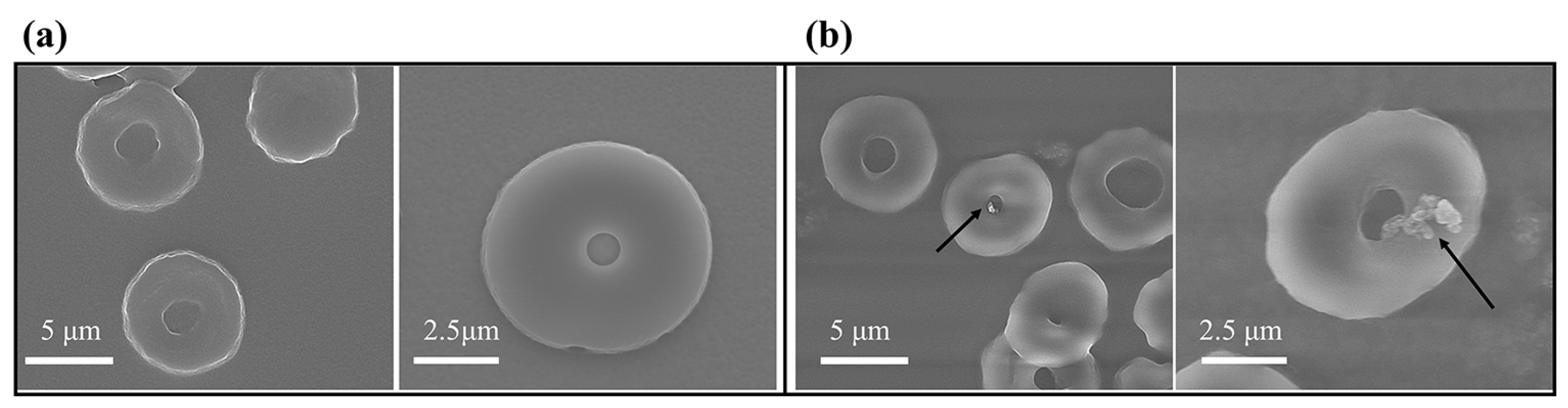 Materials 16 06523 g003 Materials 16 06523 g003