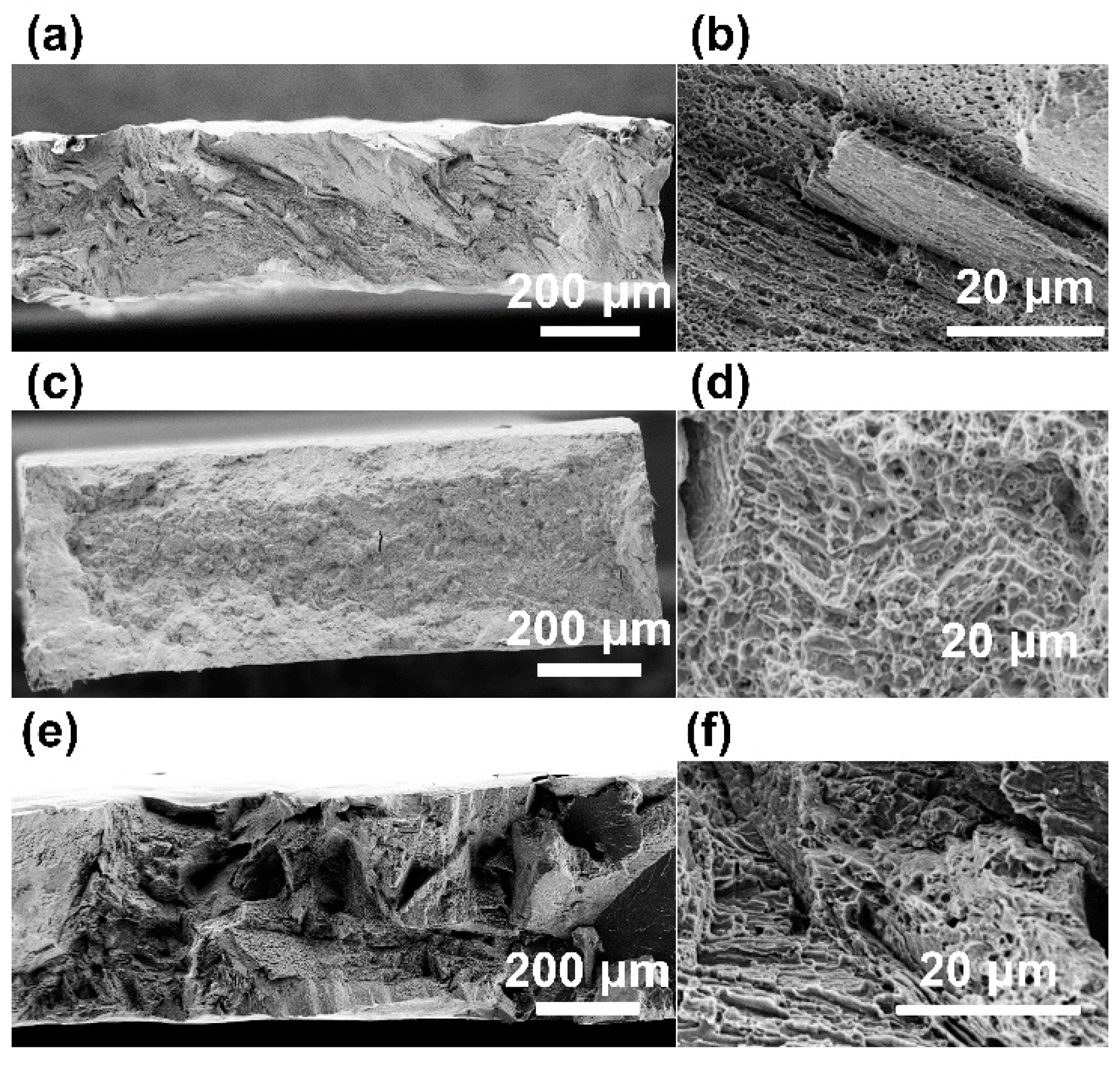 Materials 16 06528 g009