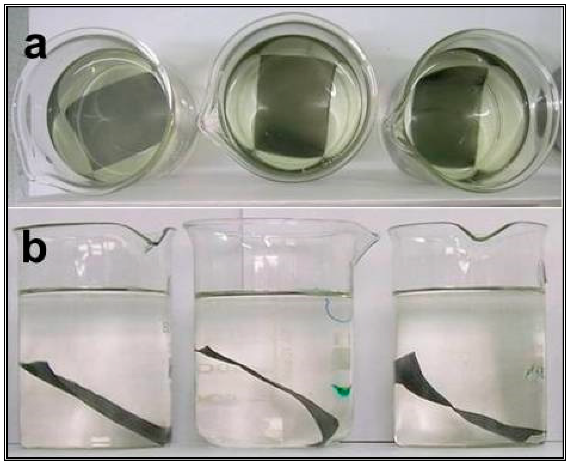 Materials 16 06541 g001