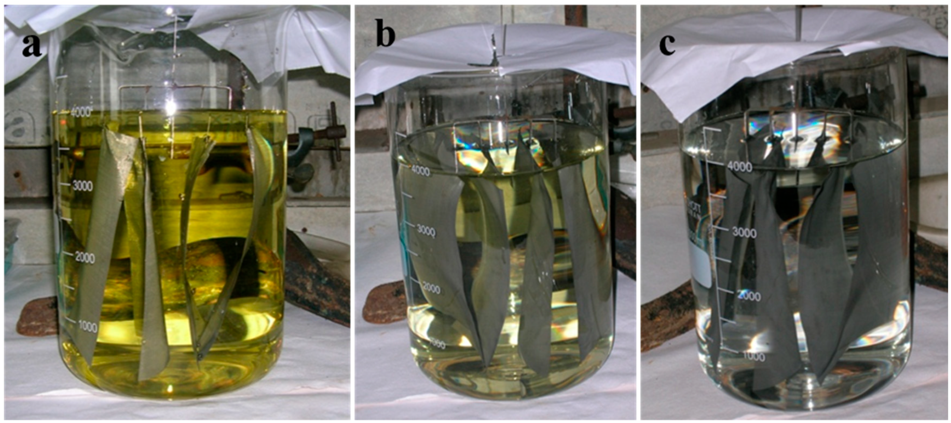 Materials 16 06541 g004