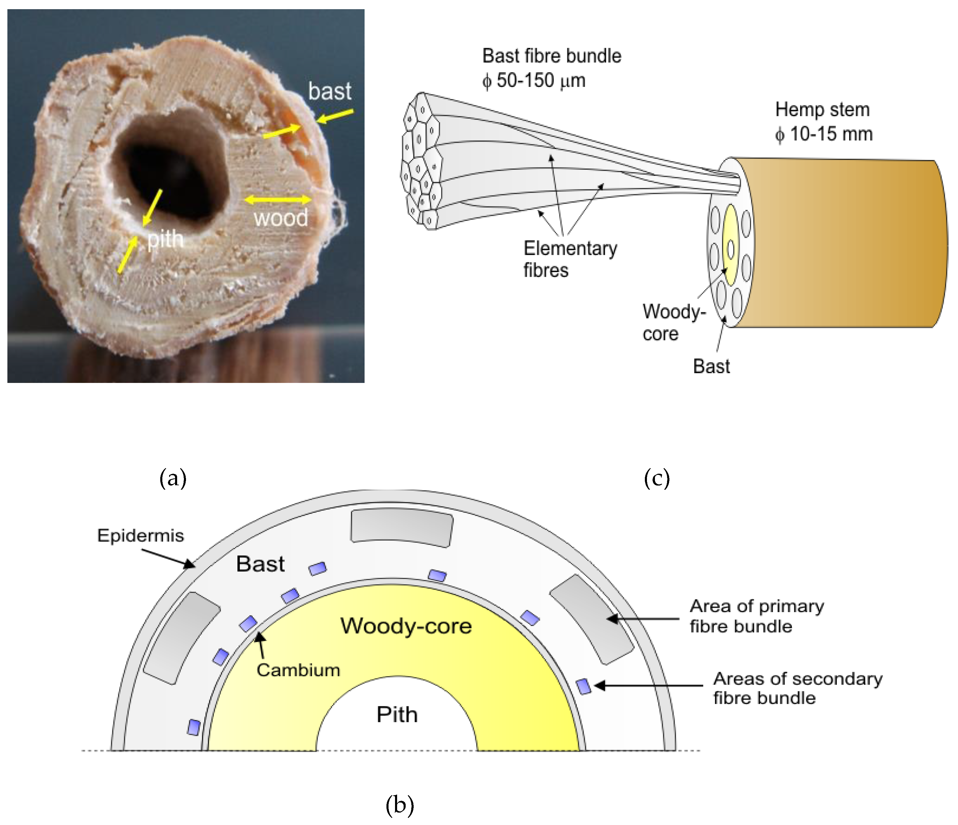 Materials 16 06548 g002 Materials 16 06548 g002