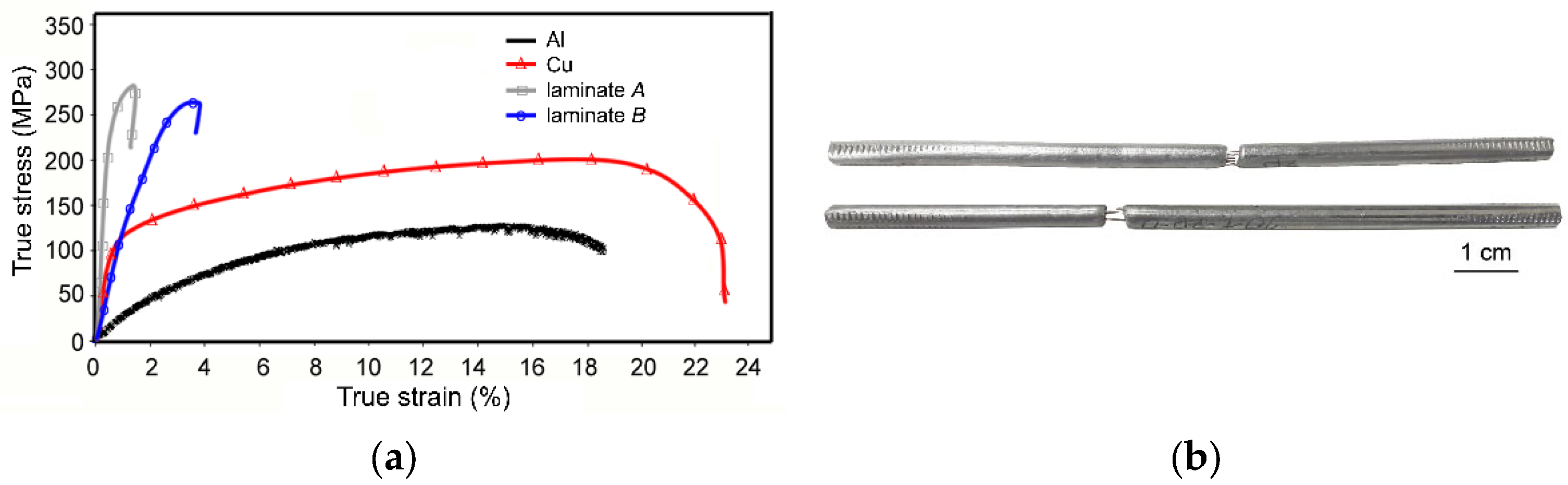 Materials 16 06555 g006