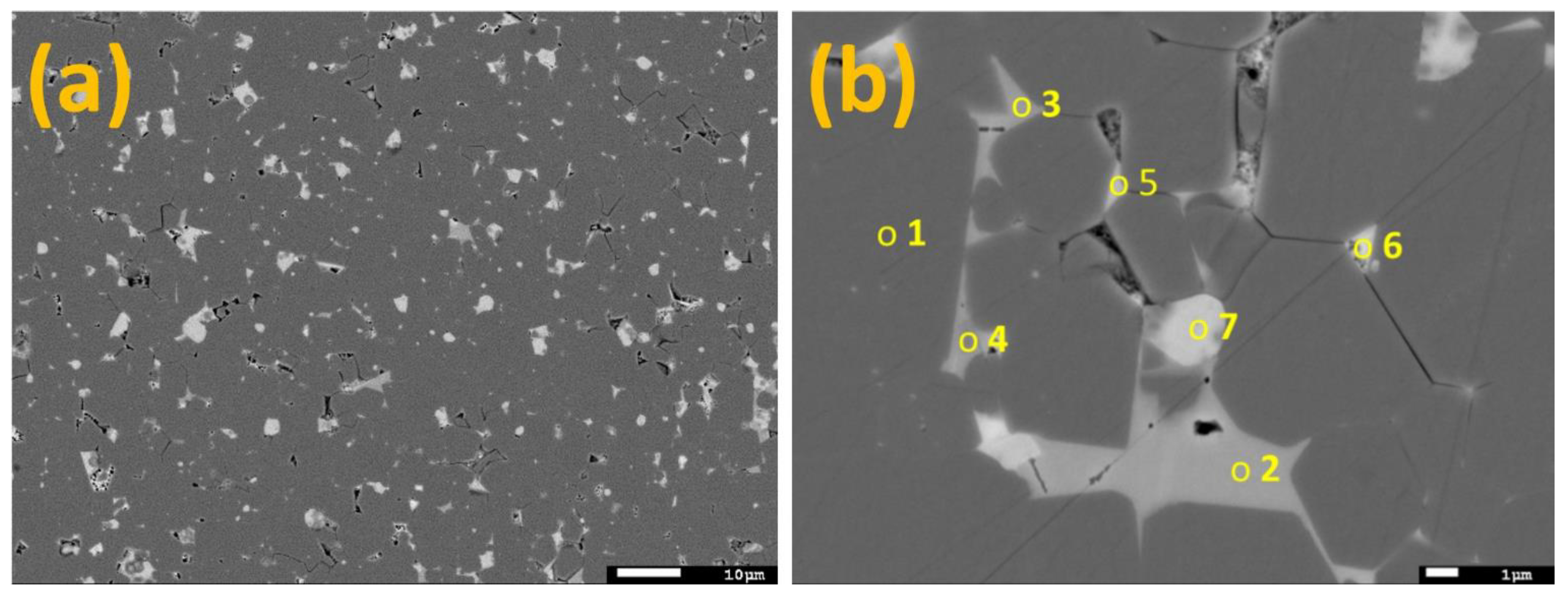 Materials 16 06565 g001