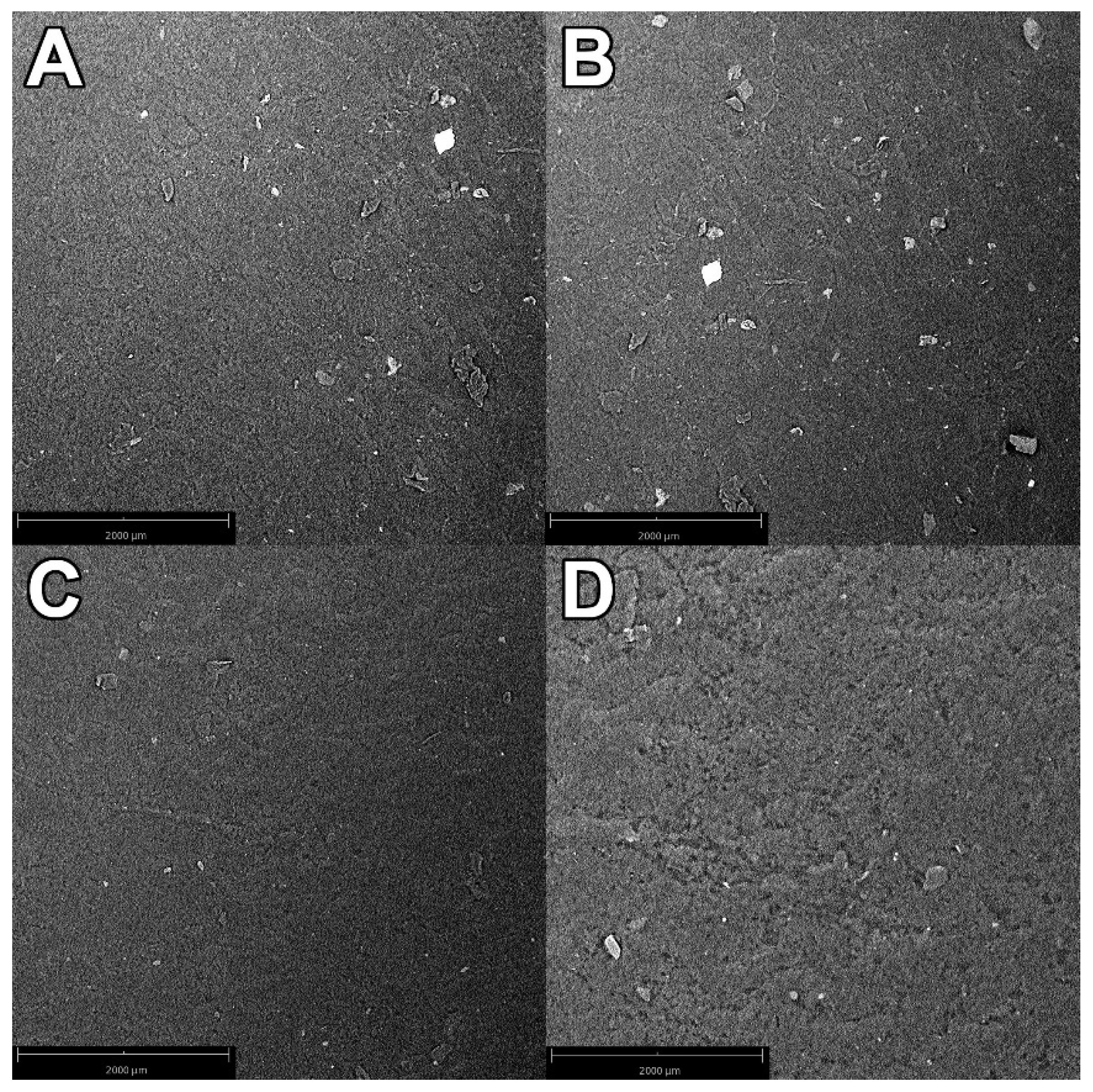 Materials 16 06569 g001