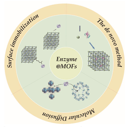 Metal–Organic Framework for the Immobilization of