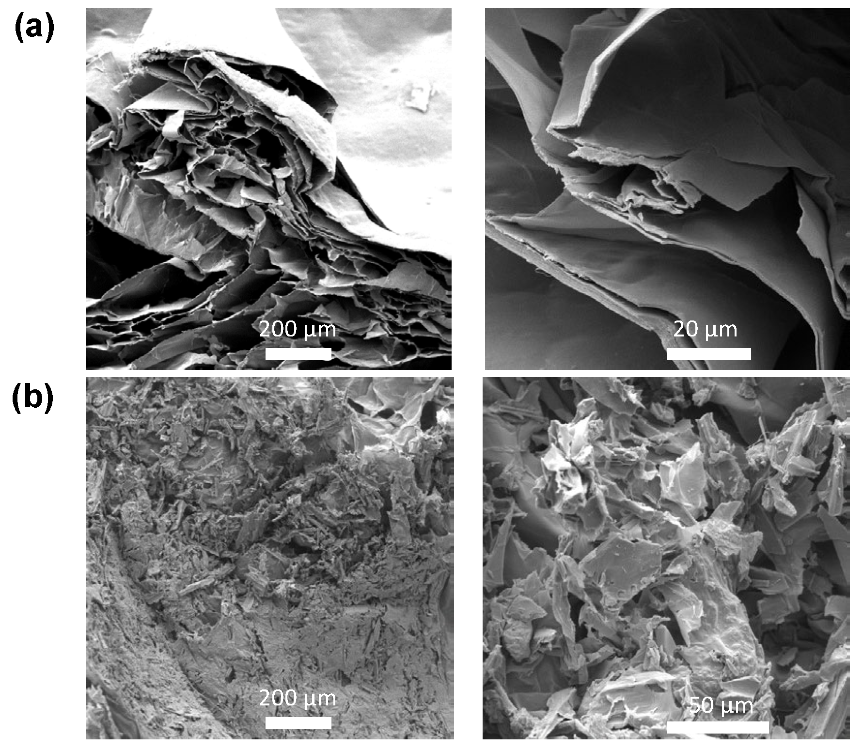 Materials 16 06577 g002