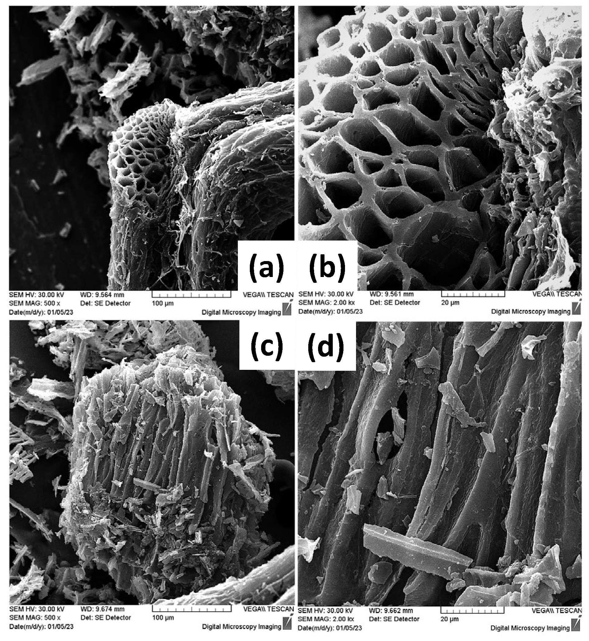 Materials 16 06577 g003