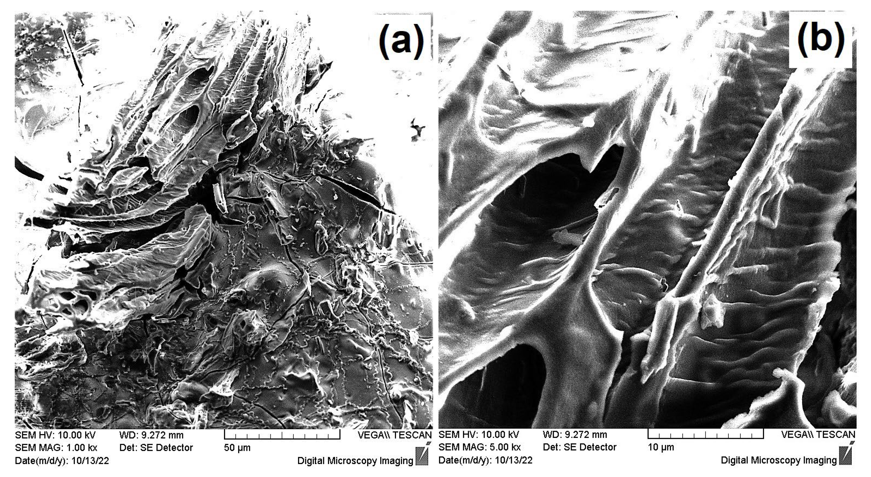 Materials 16 06577 g007