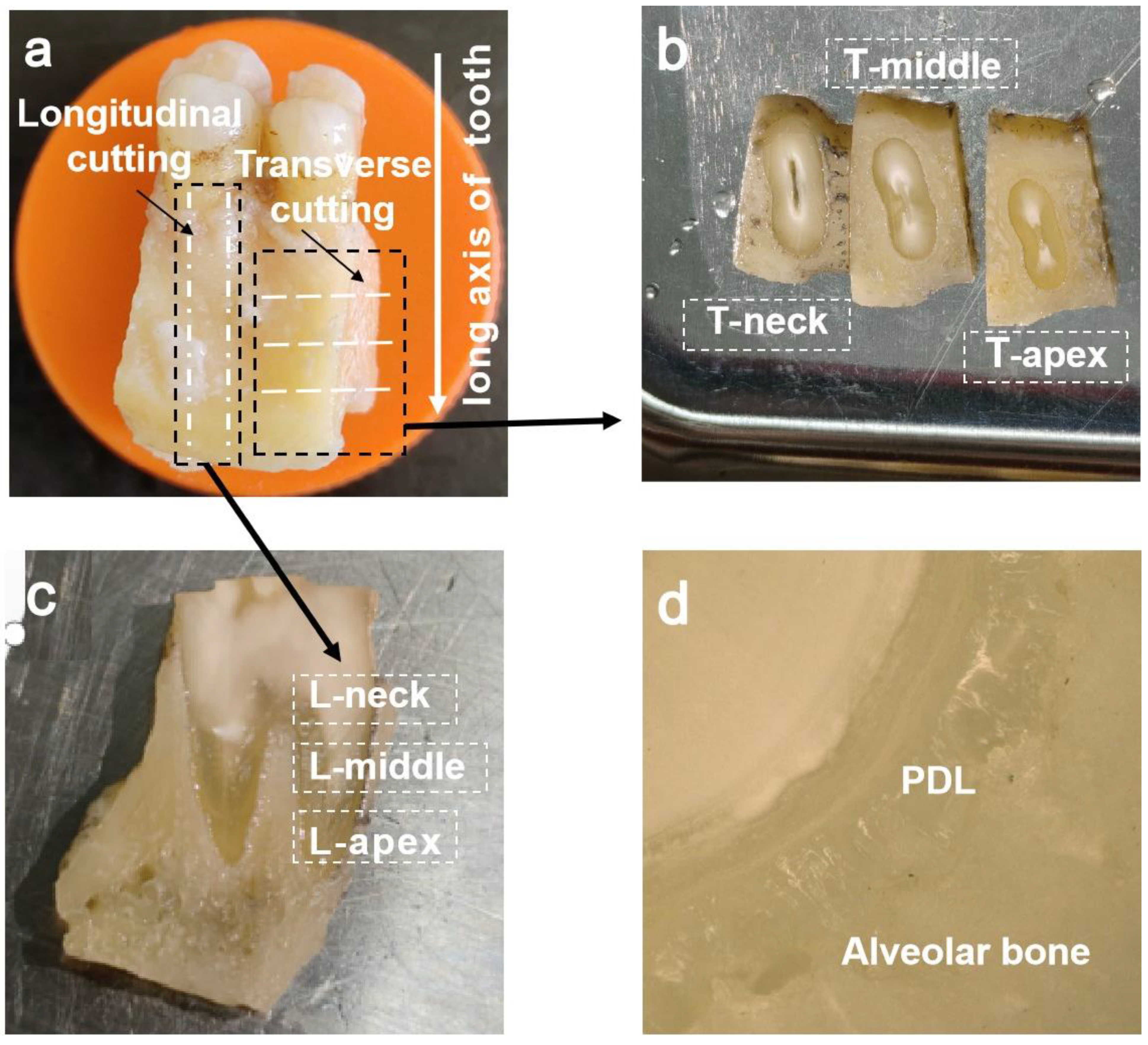 Materials 16 06582 g001