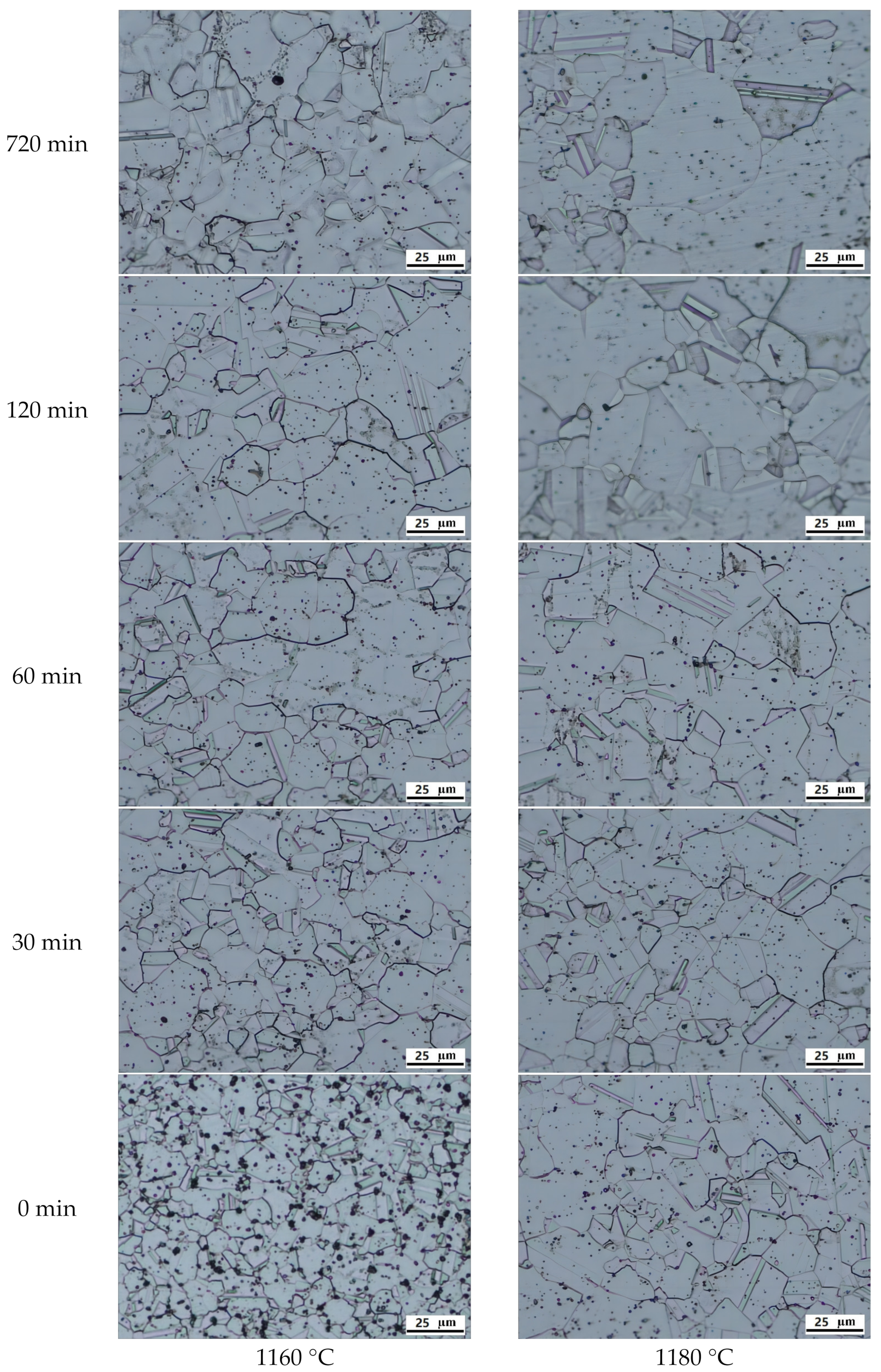 Materials 16 06584 g005