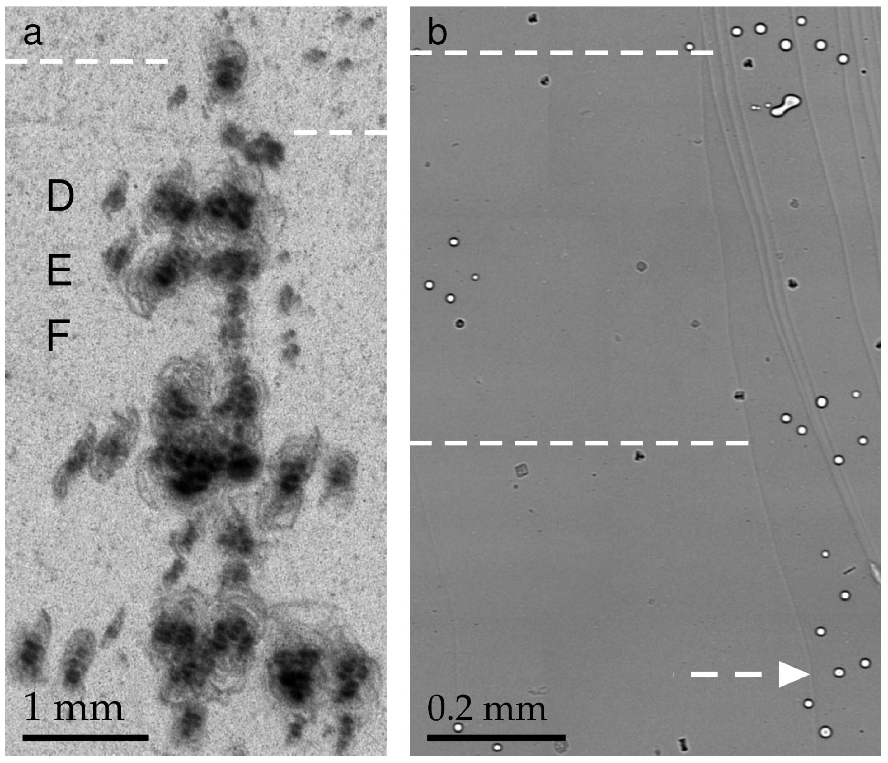 Materials 16 06589 g003