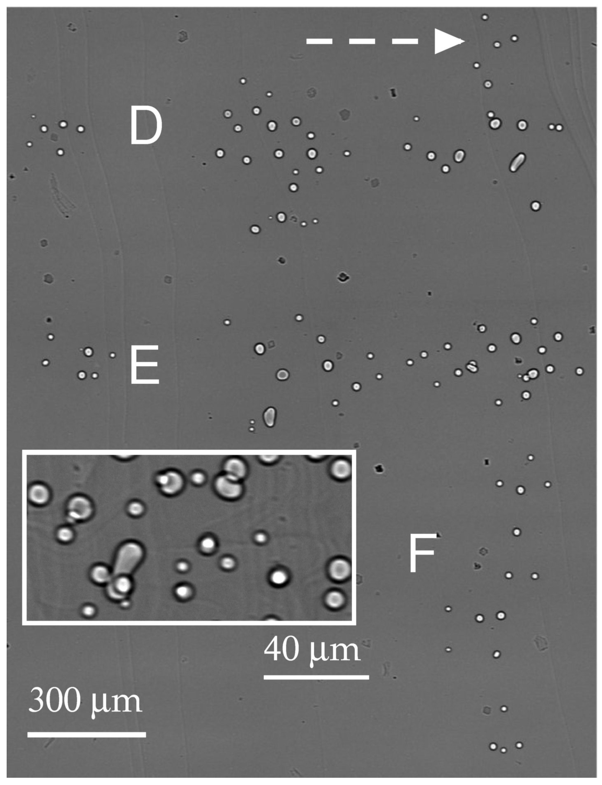 Materials 16 06589 g004