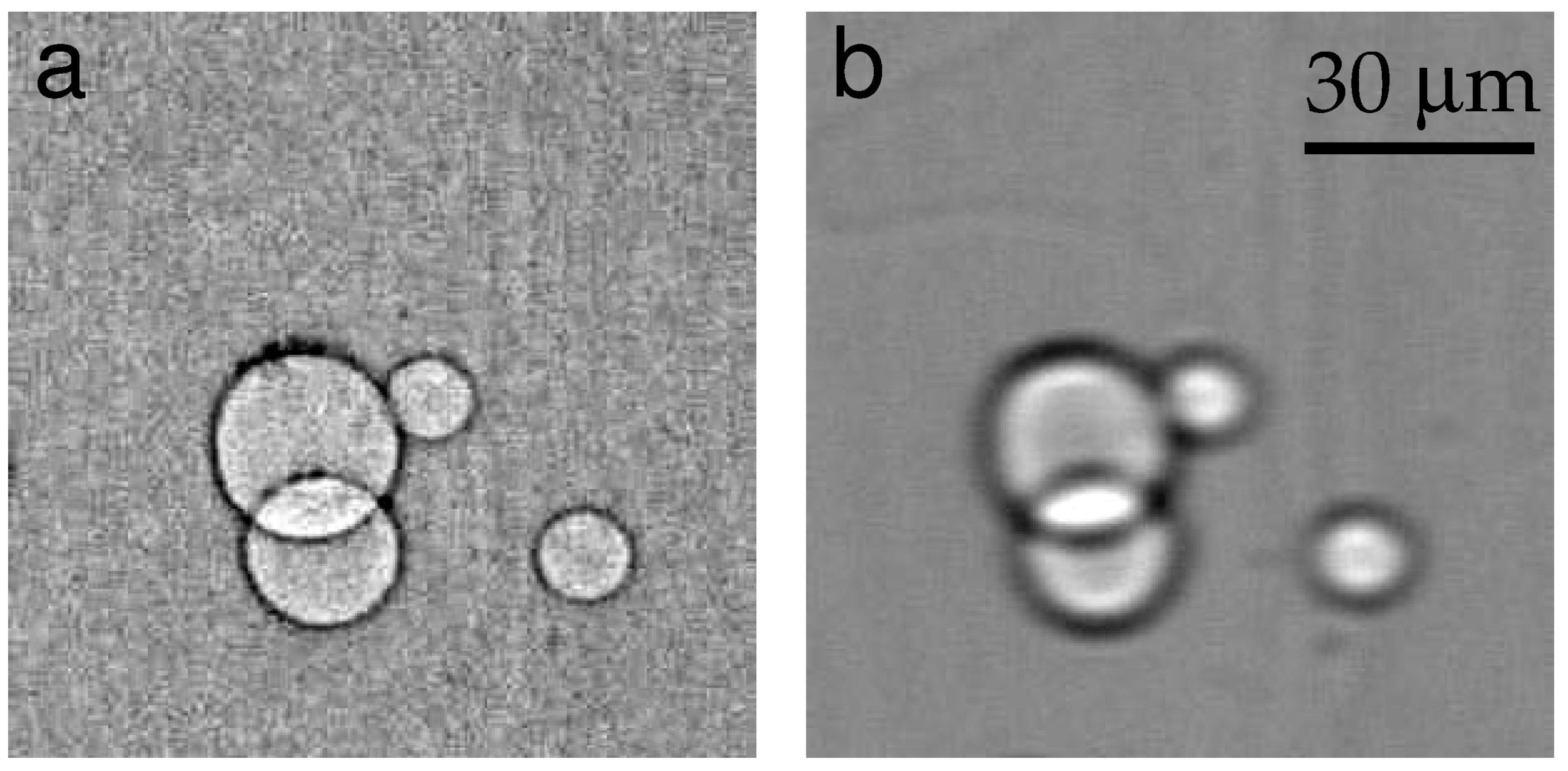 Materials 16 06589 g005