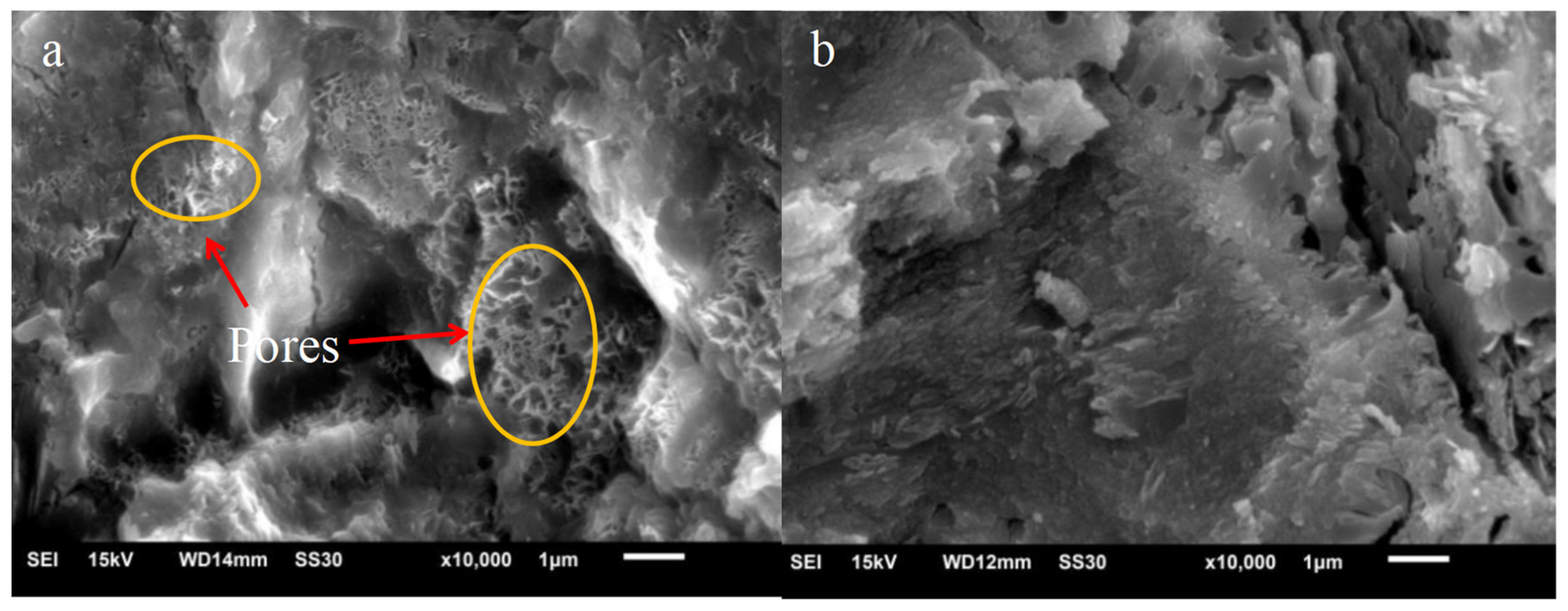 Materials 16 06597 g001