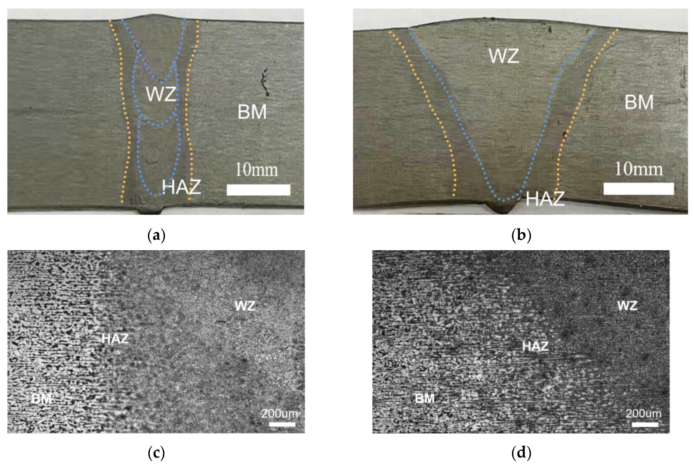 Materials 16 06601 g006