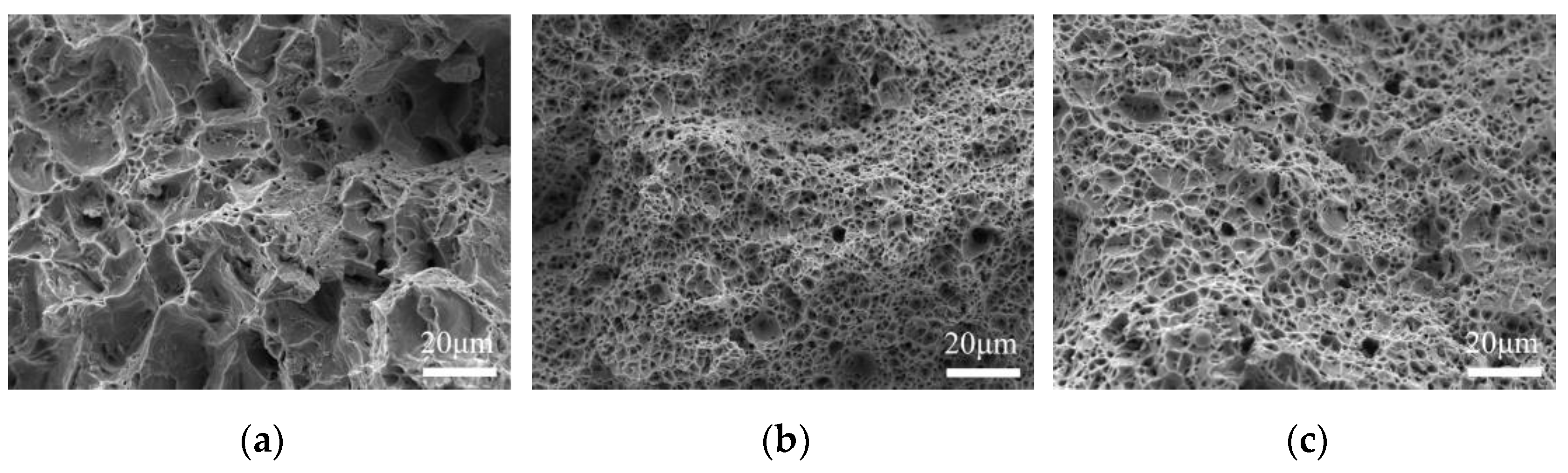 Materials 16 06601 g012