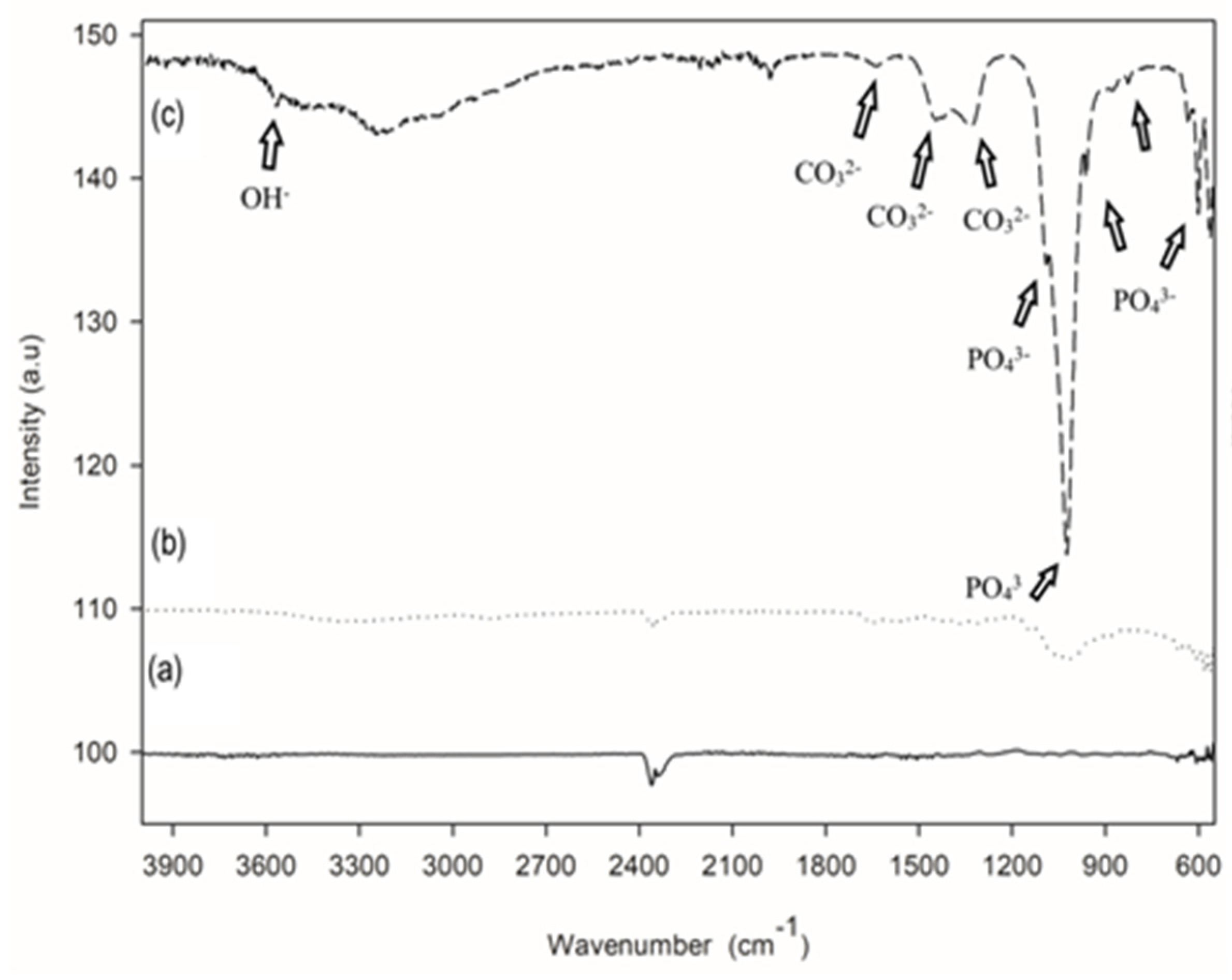Materials 16 06608 g004