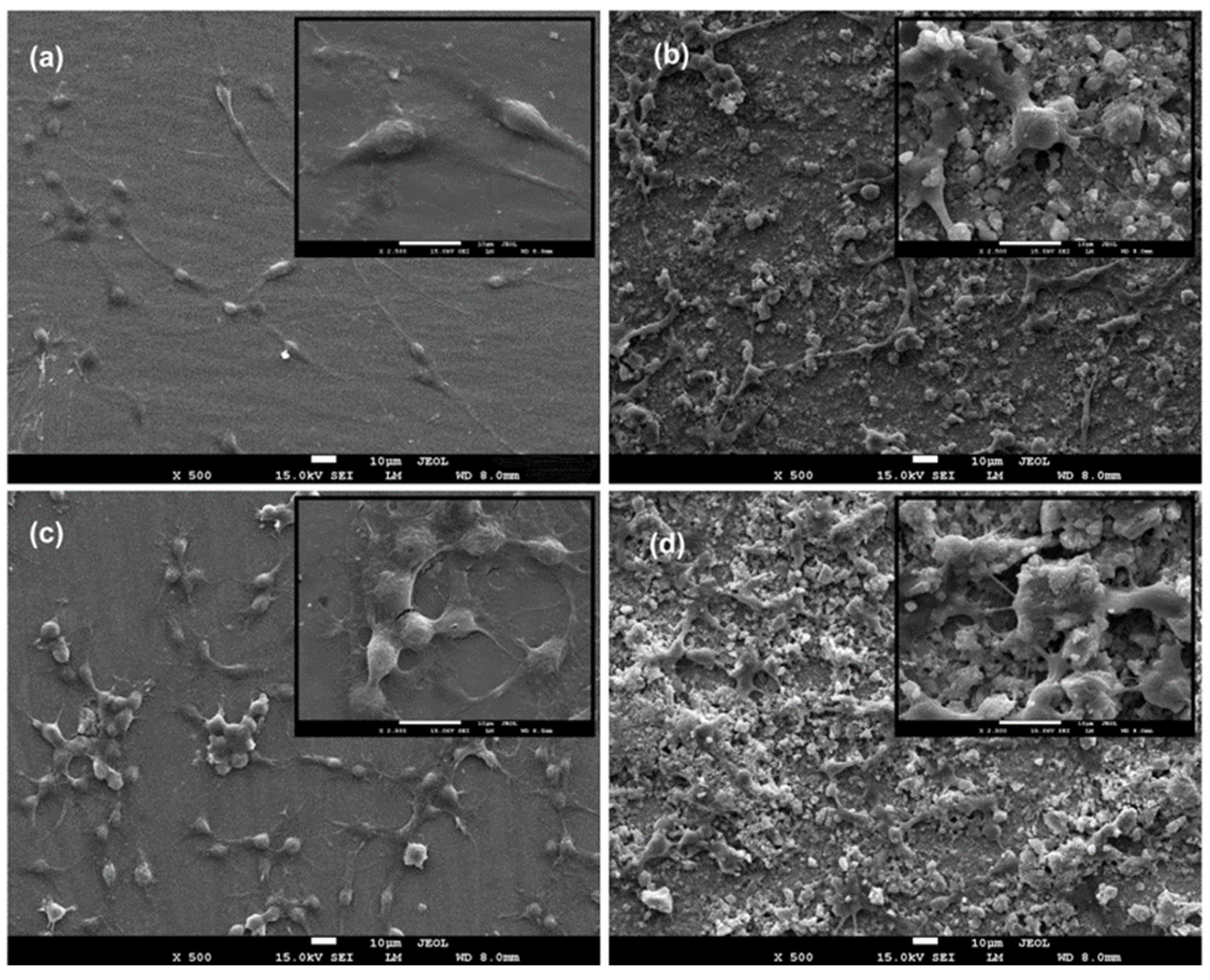 Materials 16 06608 g006