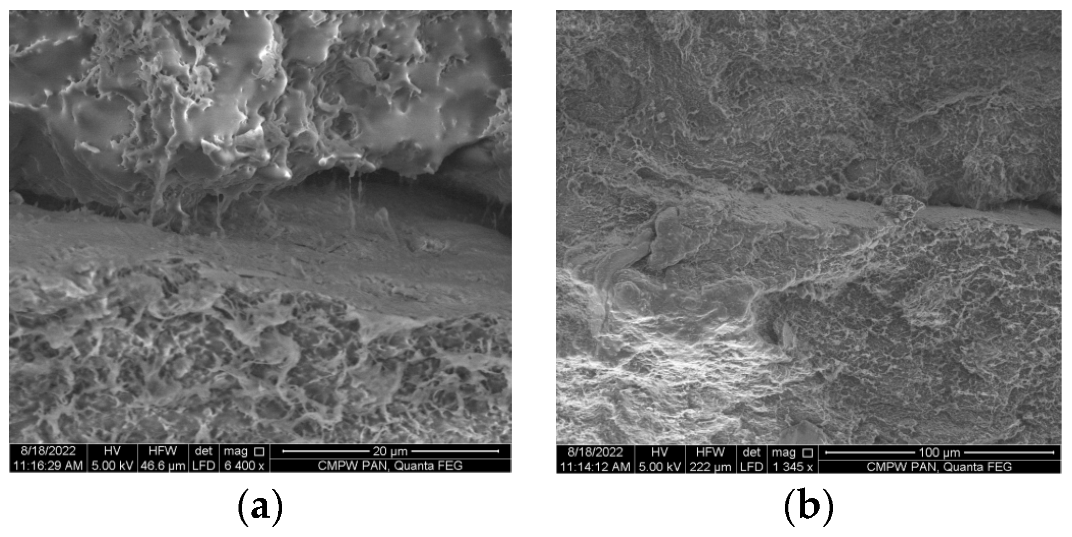 Materials 16 06617 g002